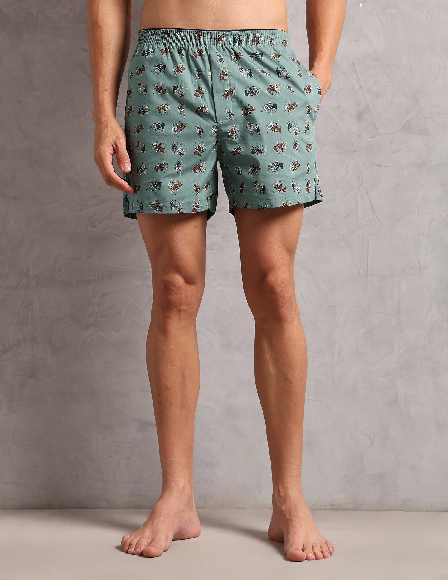 Pure Cotton Printed OEX11 Boxers - Pack Of 1 Sage Green - U.S. POLO ASSN. | Large