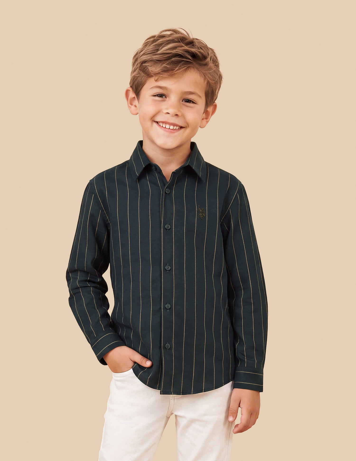 Vertical Striped Regular Fit Shirt Green - U.S. Polo Assn. India | Large