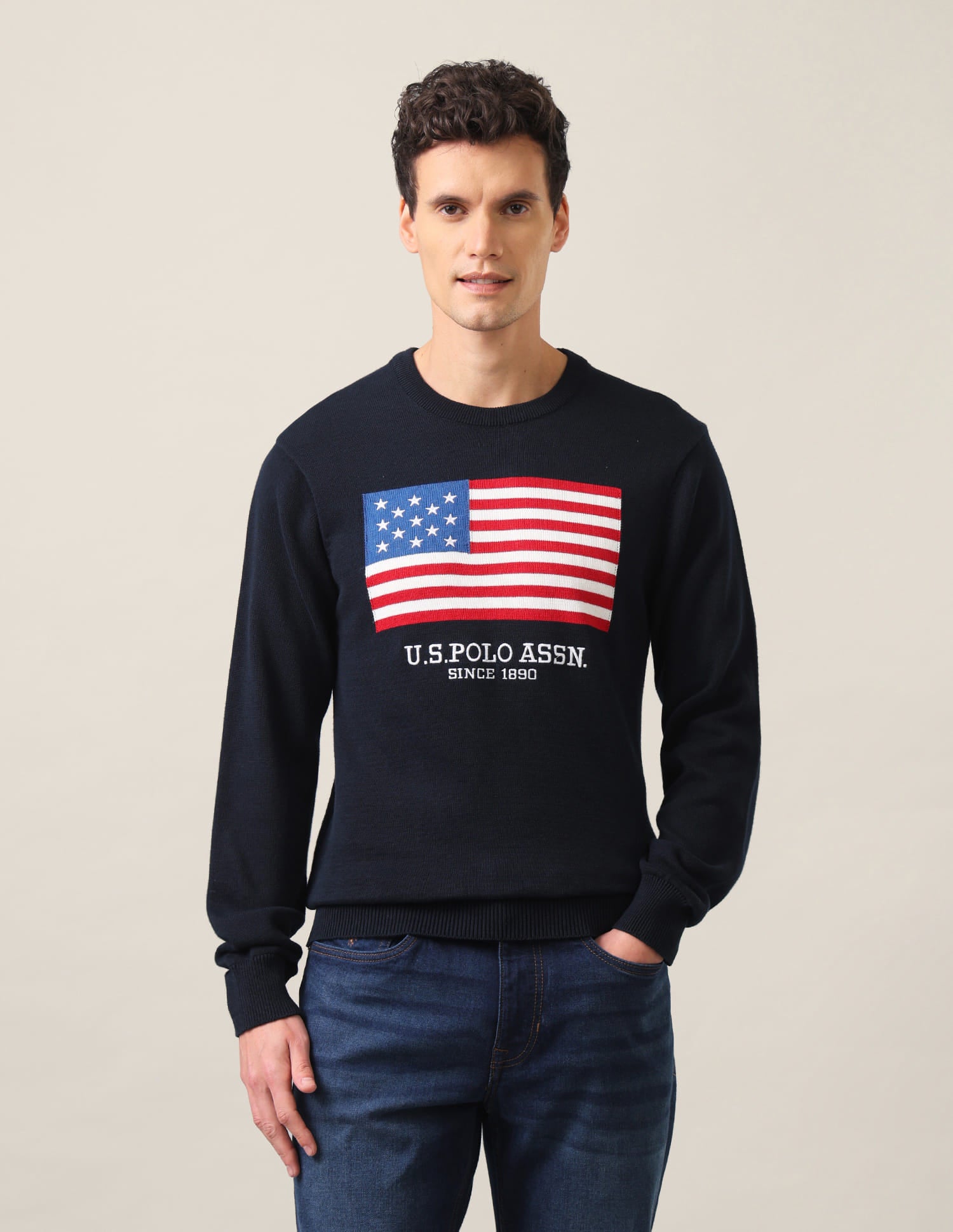 Crew Neck Brand Embroidered Sweater Navy - U.S. Polo Assn. India | Large