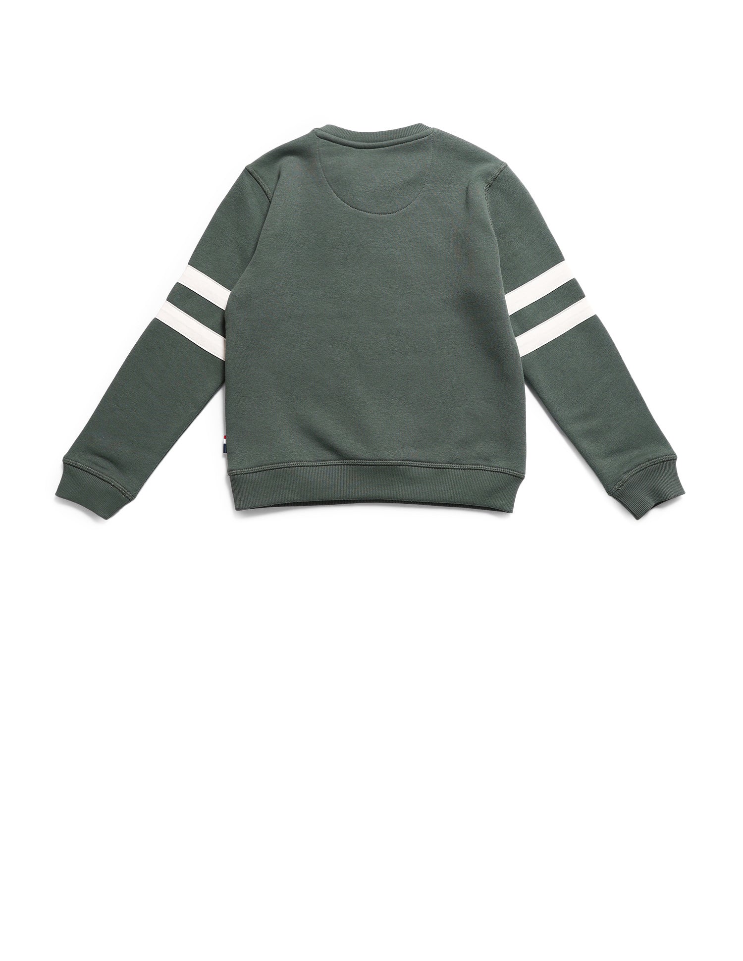 Boys Brand Printed Regular Fit Sweatshirt Light Olive - U.S. POLO ASSN. | Large