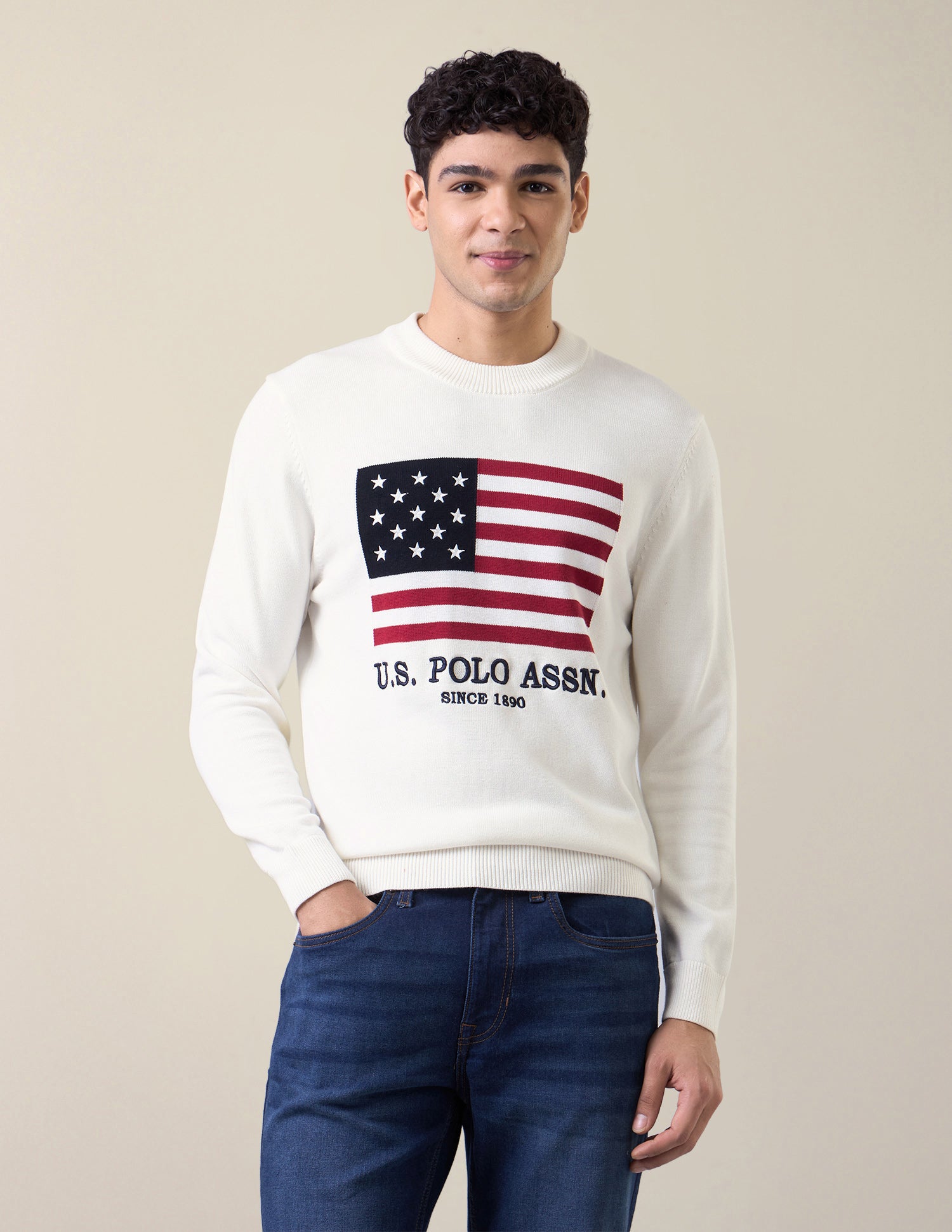 Brand Patterned Knit Slim Fit Sweater White - U.S. Polo Assn. India | Large