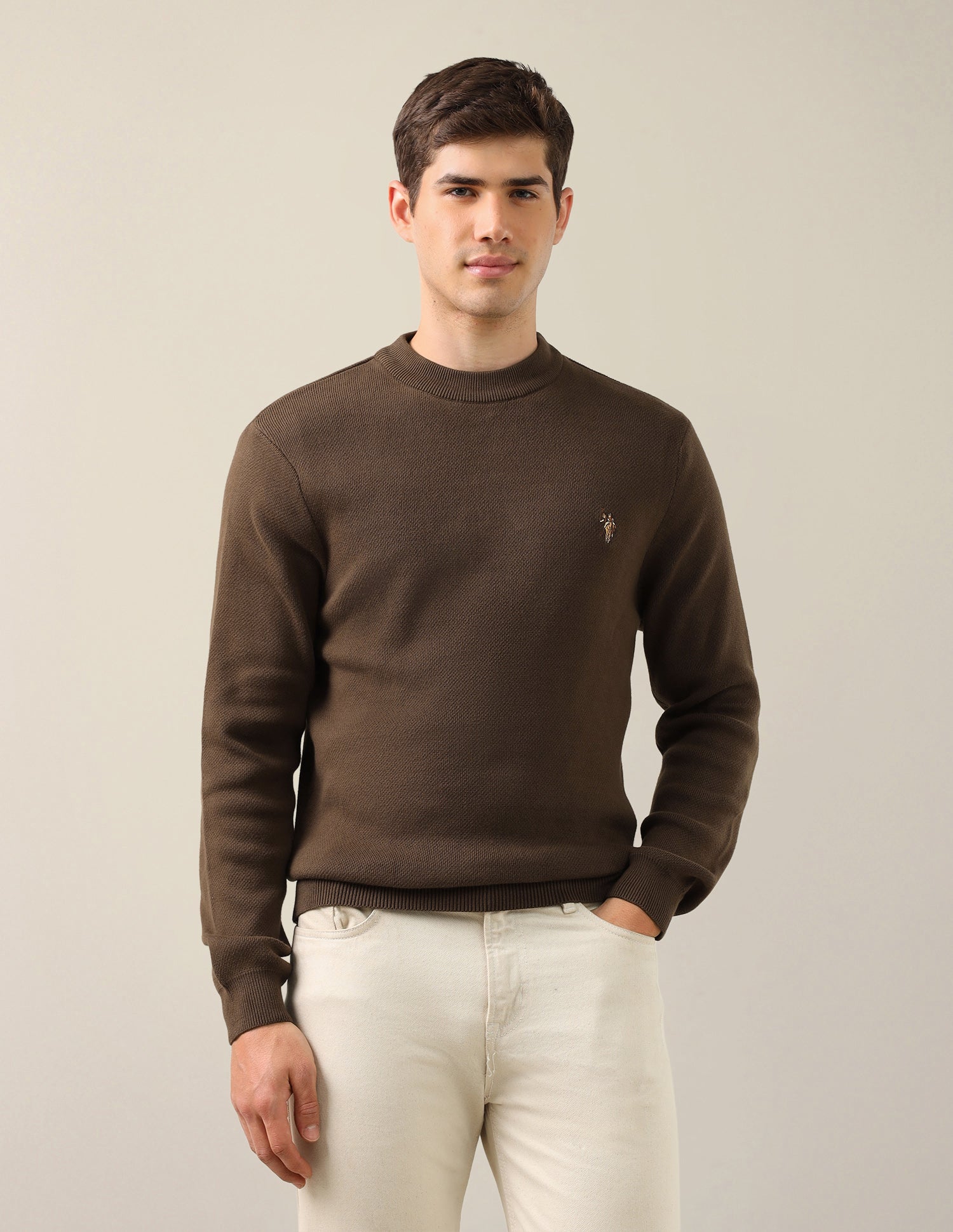 Solid Regular Fit Sweater Brown - U.S. Polo Assn. India | Large