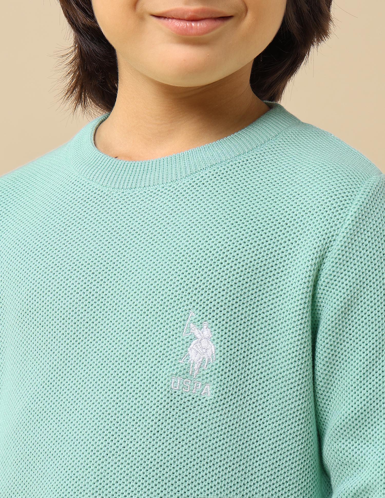 Boys Textured Regular Fit Sweater Light Green - U.S. POLO ASSN. | Large