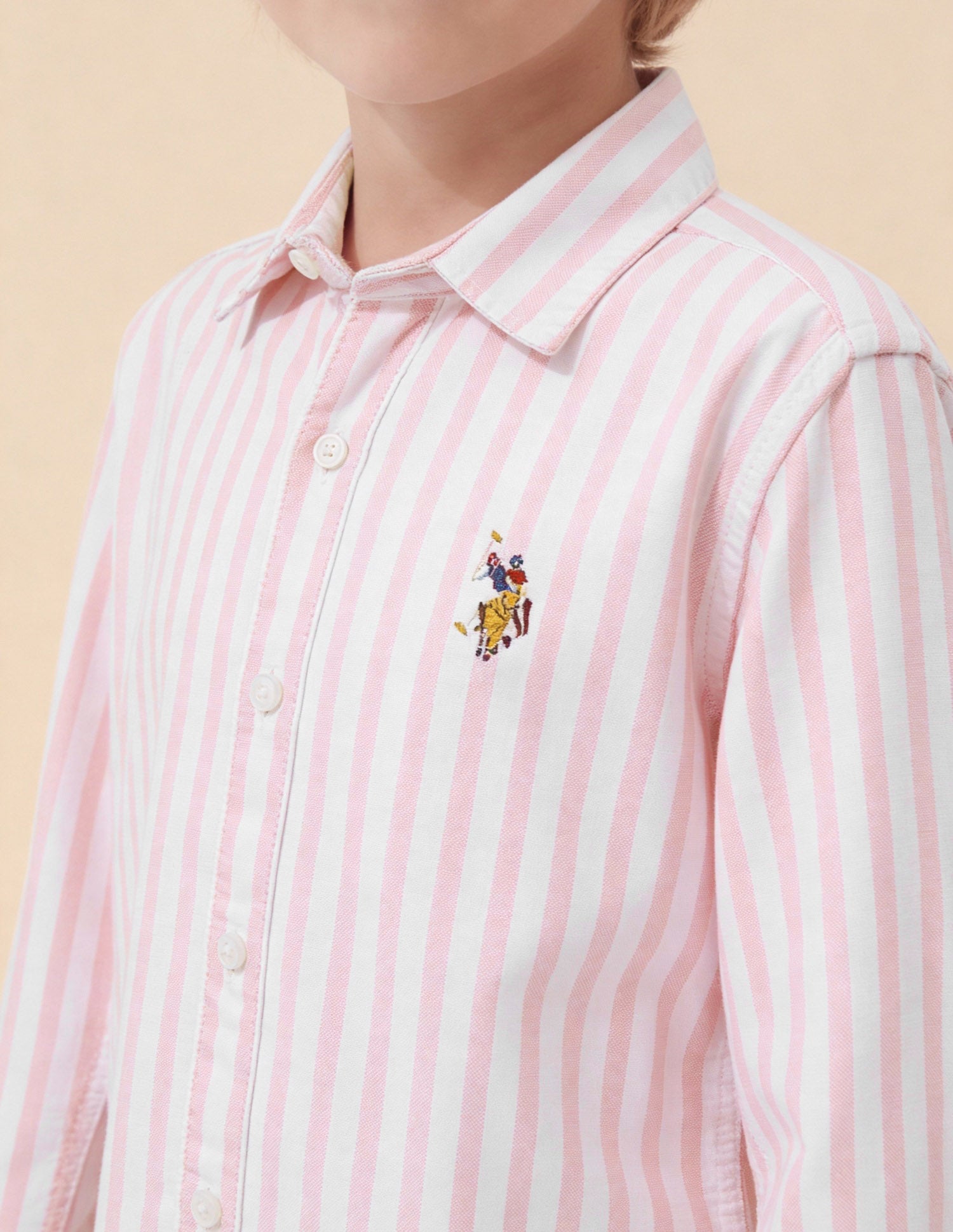 Boys Vertical Striped Oxford Shirt Pink - U.S. Polo Assn. India | Large