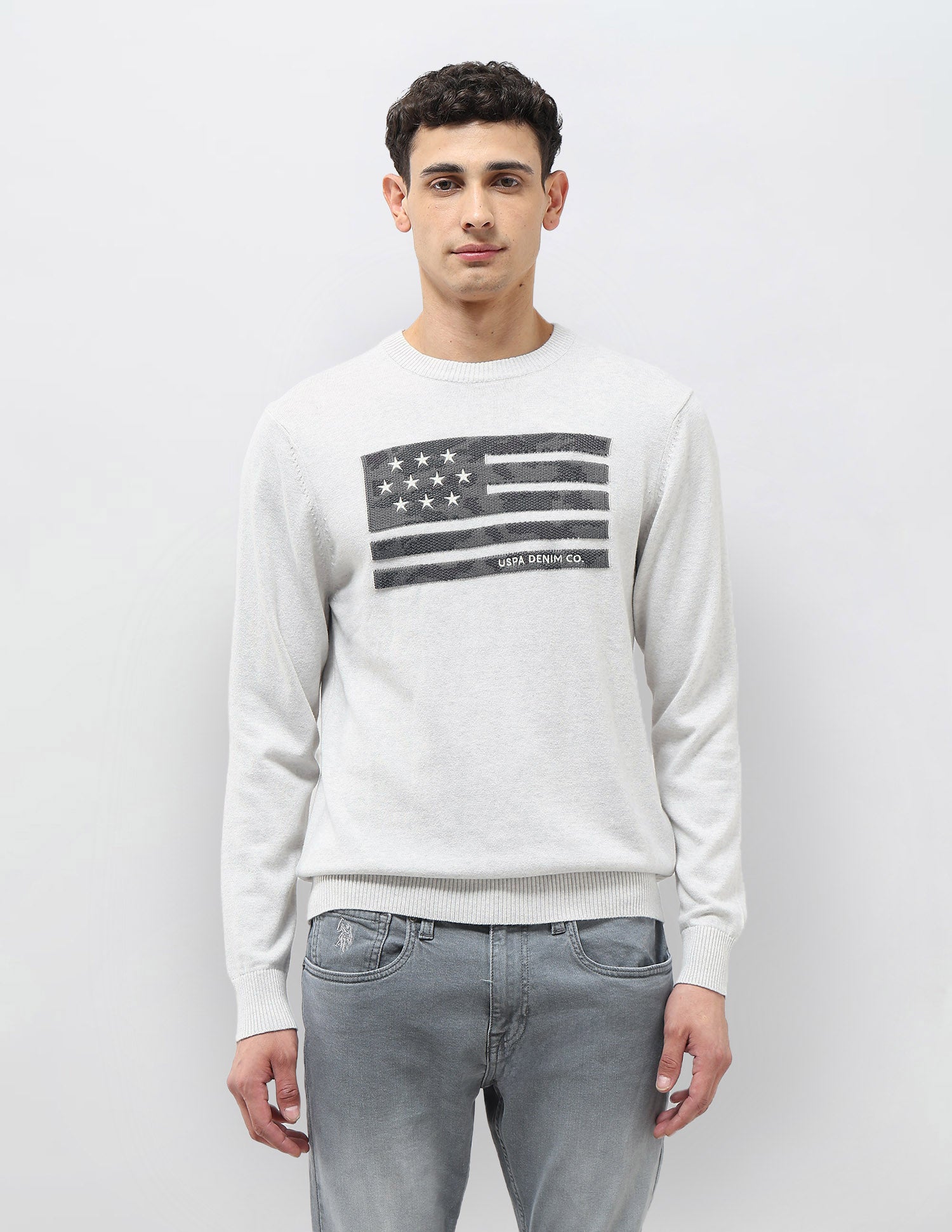 Graphic Patterned Knit Regular Fit Sweater Grey - U.S. POLO ASSN. | Large