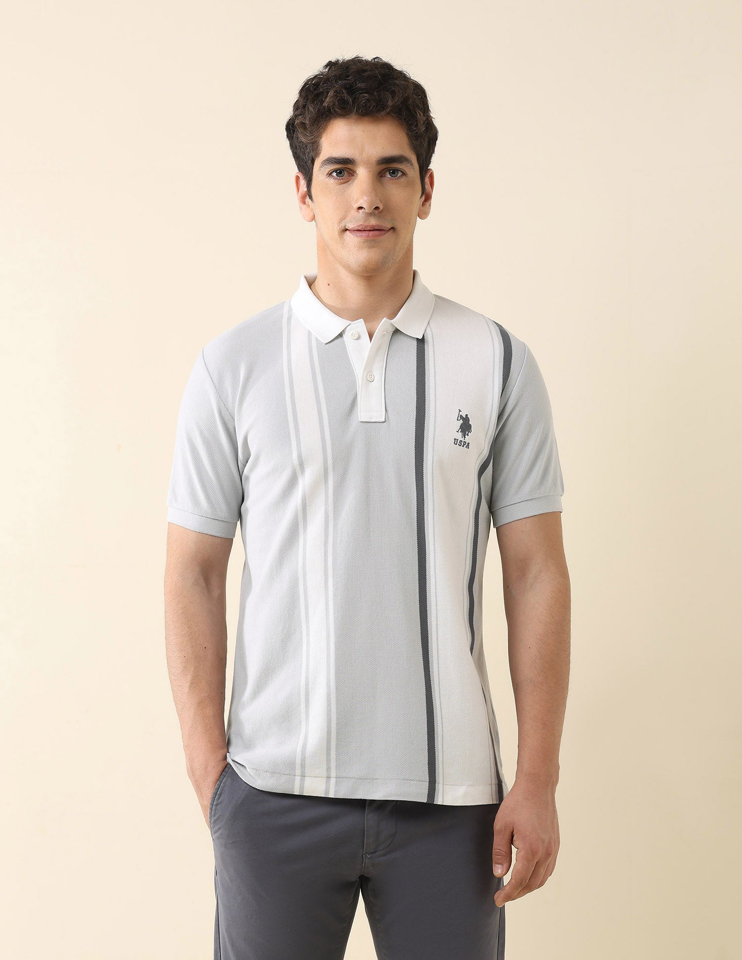Vertical Striped Working Holiday Polo Shirt Grey - U.S. Polo Assn. India | Large