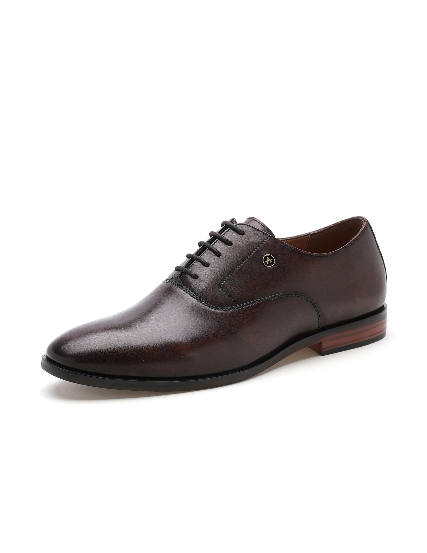 Pelican 3.0 Solid Leather Shoes Brown - U.S. Polo Assn. India | Large