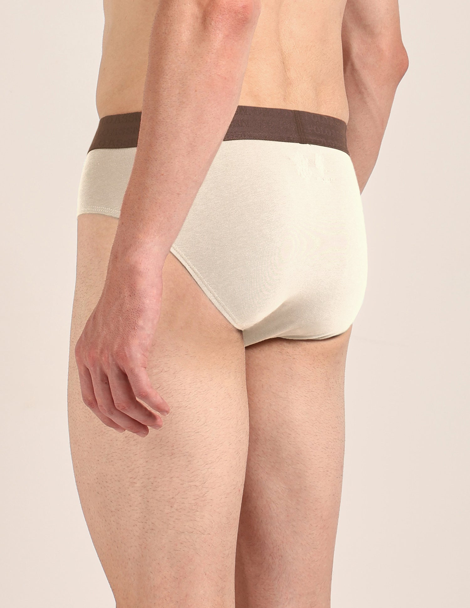 Antibacterial Dual Layered OEB21 Brief - Pack Of 2 Oatmeal/Mulch - U.S. Polo Assn. India | Large