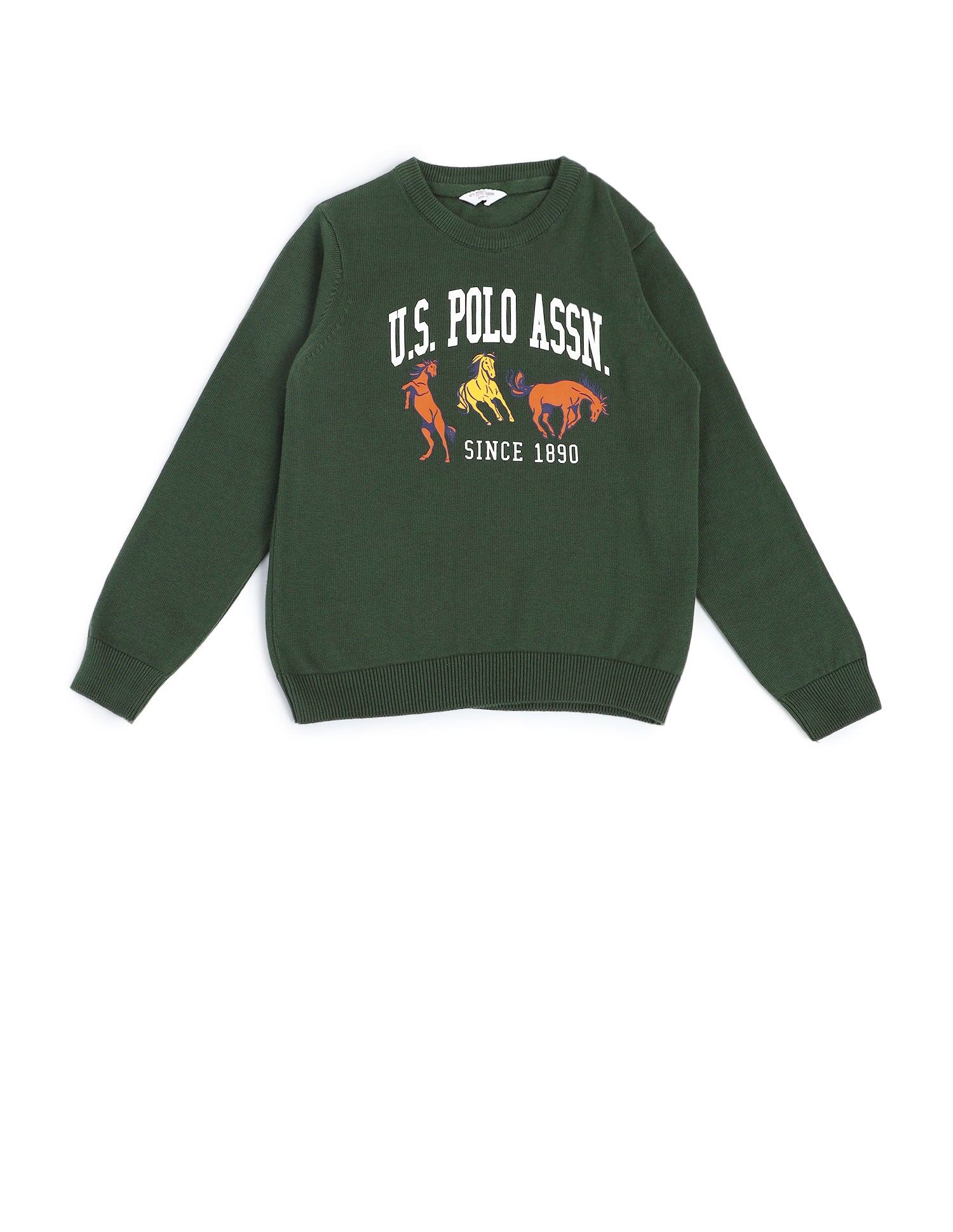 Boys Regular Fit Brand Printed Sweater Dark Green - U.S. POLO ASSN. | Large