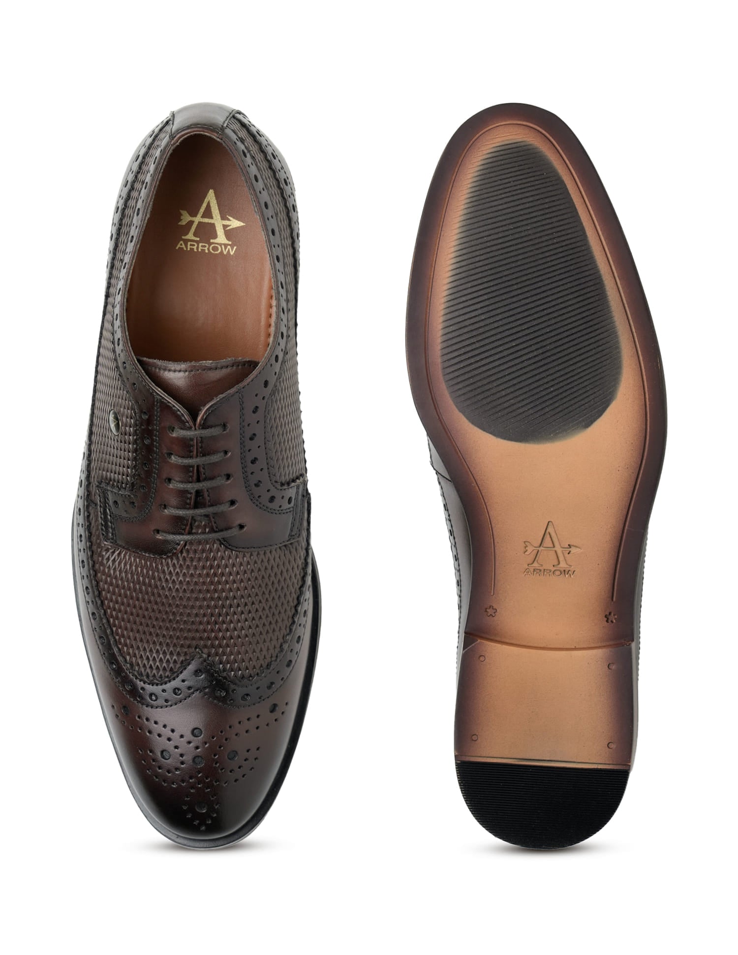 Denise 4.0 Leather Brogues Brown - U.S. Polo Assn. India | Large