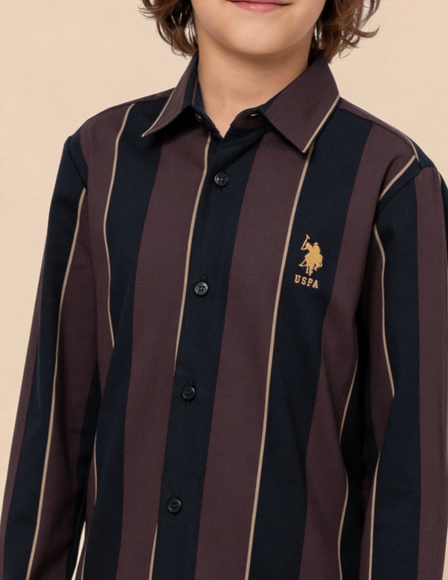 Vertical Striped Regular Fit Shirt Maroon - U.S. Polo Assn. India | Large
