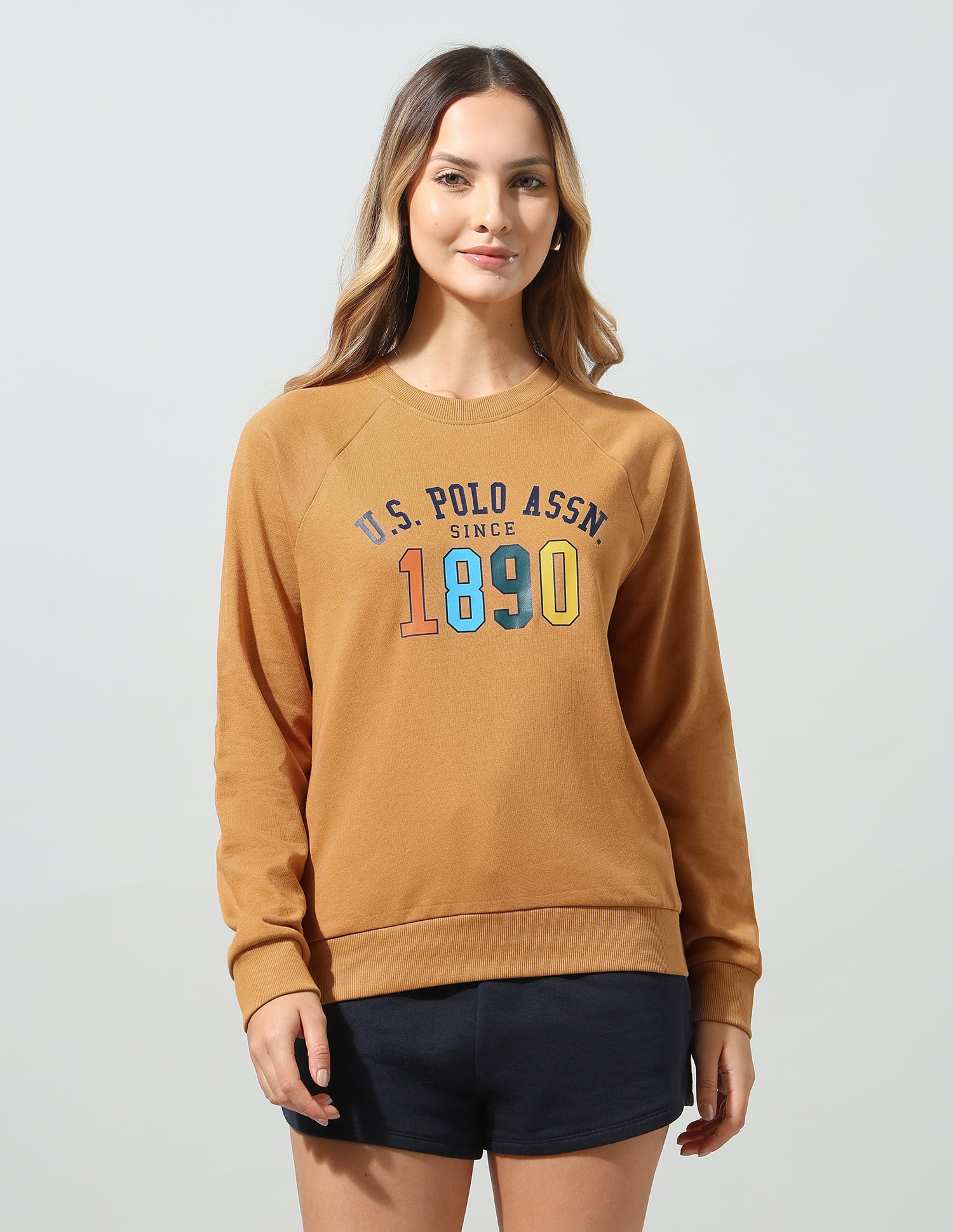 Typographic Brand Printed Relaxed Fit Sweatshirt Light Brown - U.S. Polo Assn. India | Large