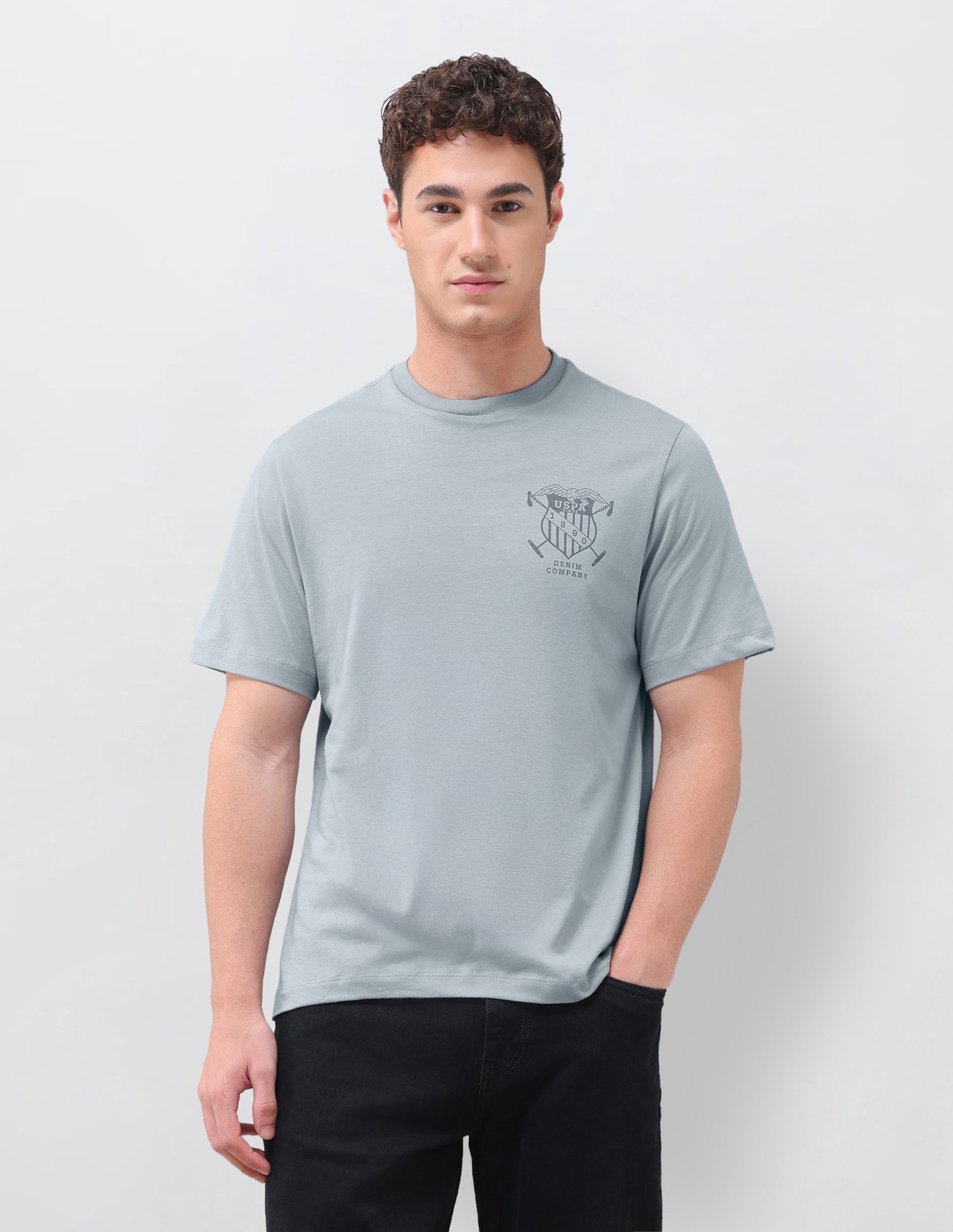 Graphic Brand Printed Relaxed Fit T-Shirt Grey - U.S. Polo Assn. India | Large