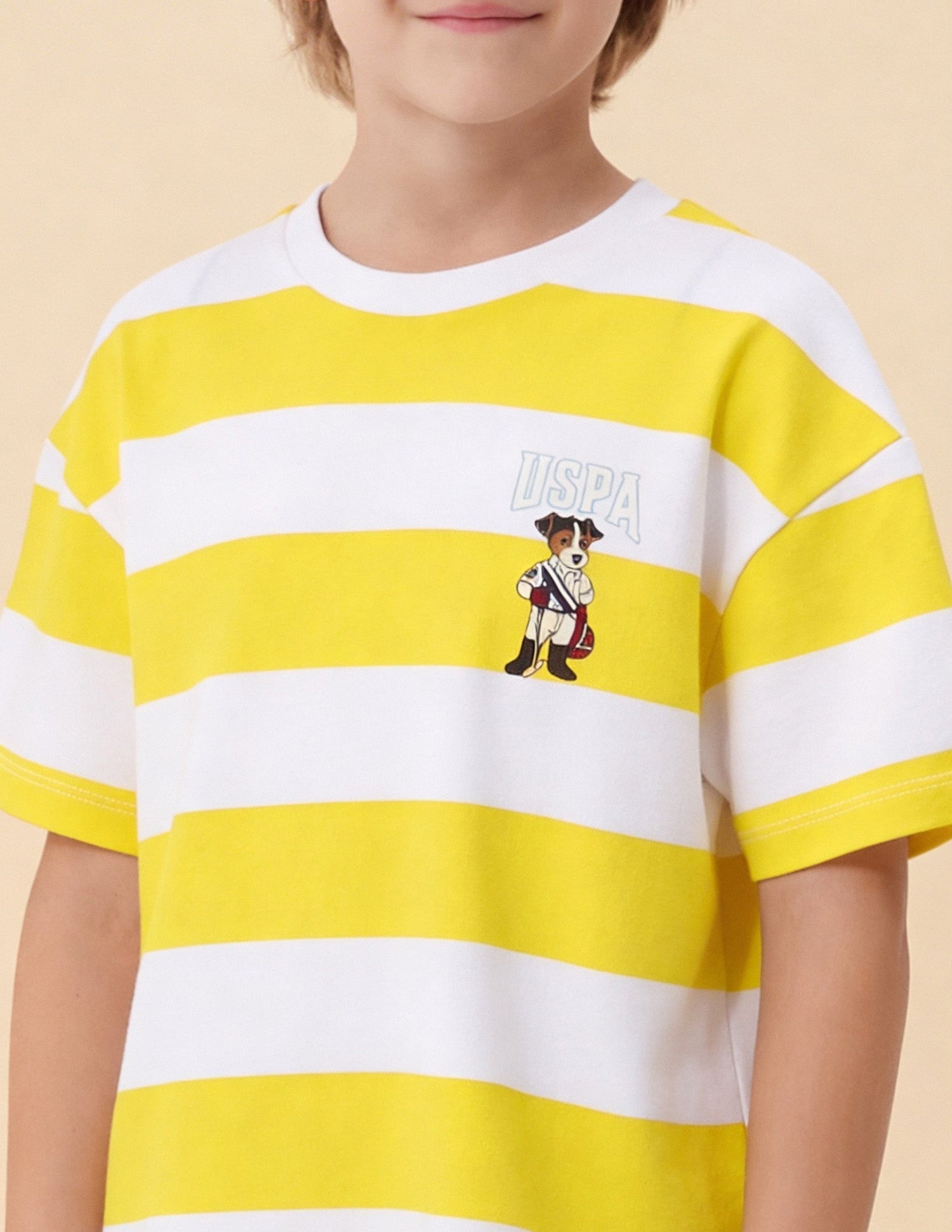 Horizontal Striped Oversized Fit T-Shirt Yellow - U.S. Polo Assn. India | Large