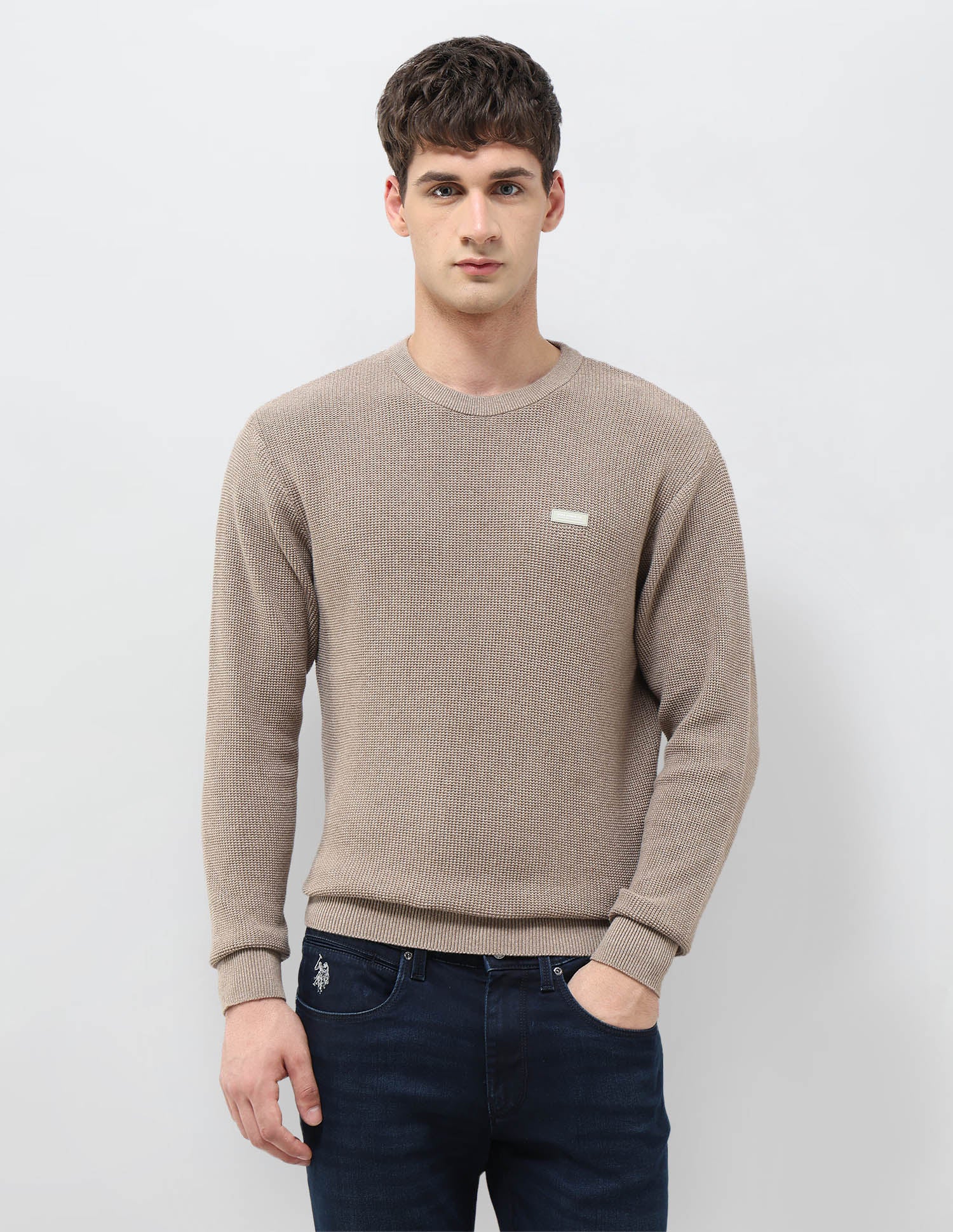 Patterned Knit Regular Fit Sweater Beige - U.S. POLO ASSN. | Large