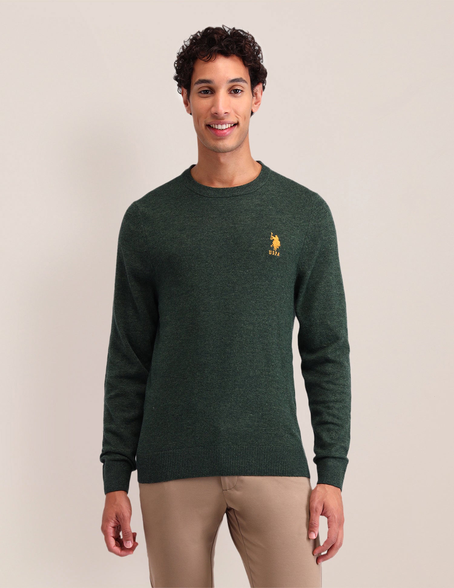 Textured Regular Fit Sweater Olive - U.S. Polo Assn. India | Large