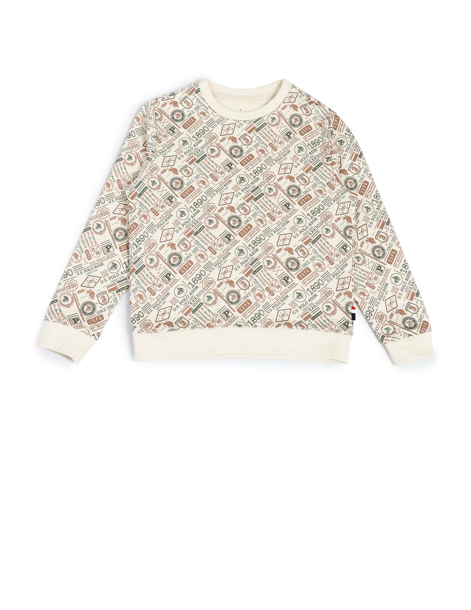 Boys Graphic Printed Cotton Sweatshirt Ecru - U.S. POLO ASSN. | Large