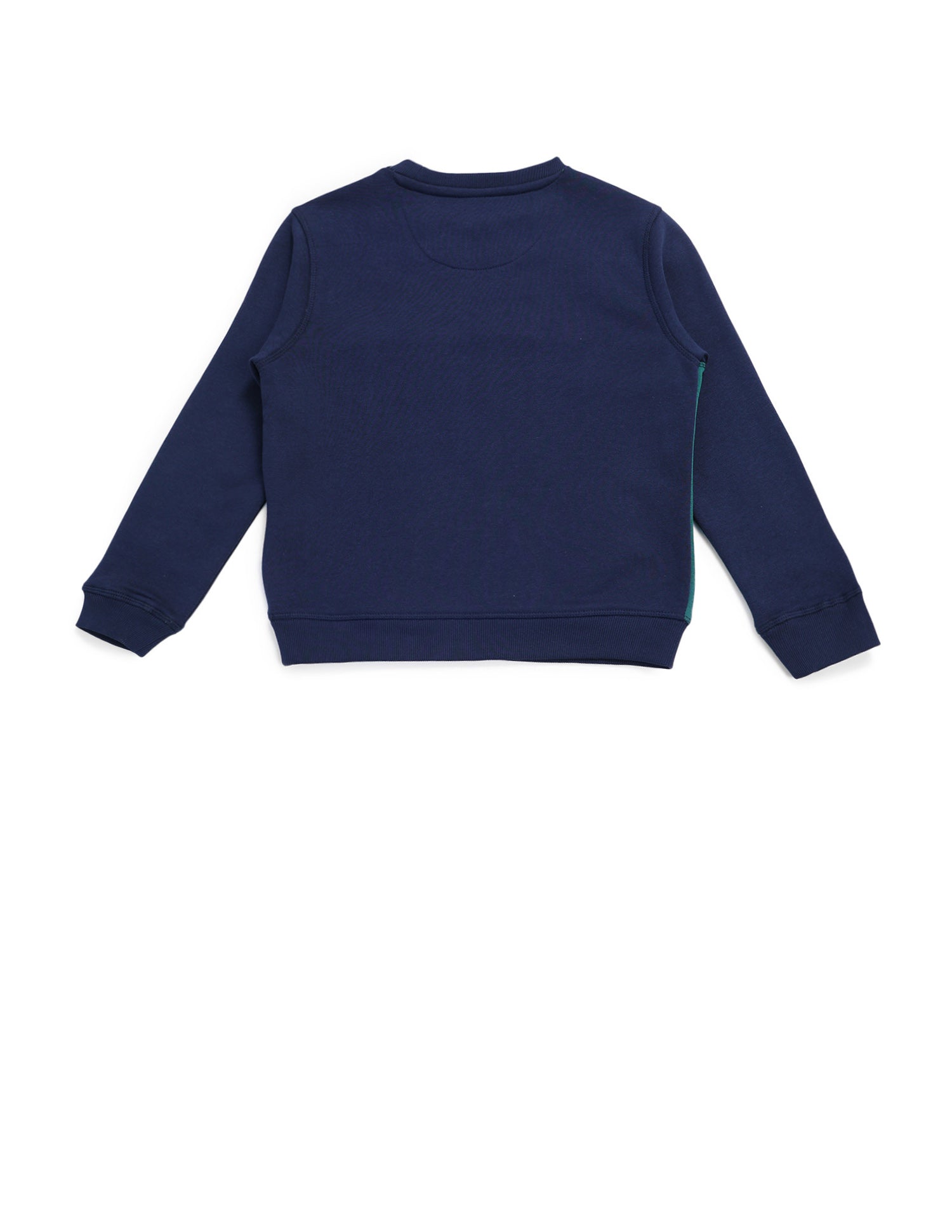 Boys Brand Printed Regular Fit Sweatshirt Green - U.S. POLO ASSN. | Large