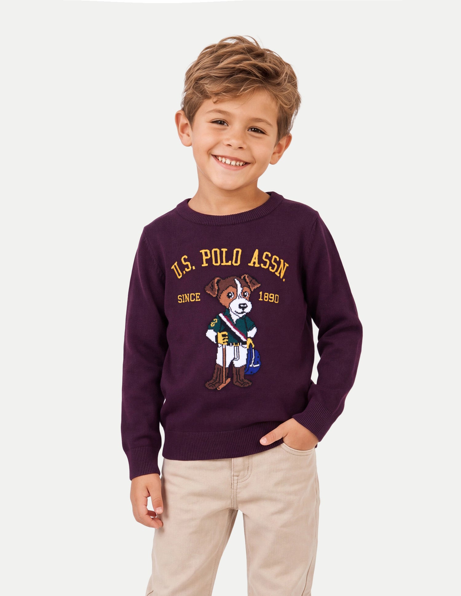 Brand Graphic Embroidered Regular Fit Sweater Wine - U.S. Polo Assn. India | Large