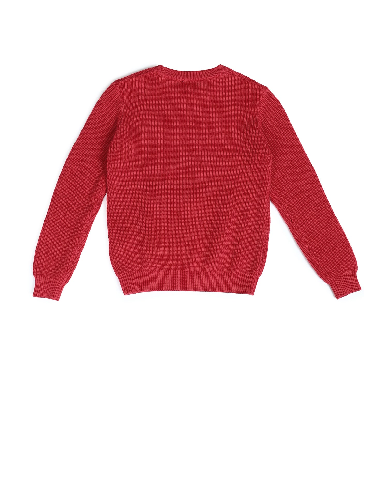 Boys Printed Regular Fit Sweater True Red - U.S. POLO ASSN. | Large