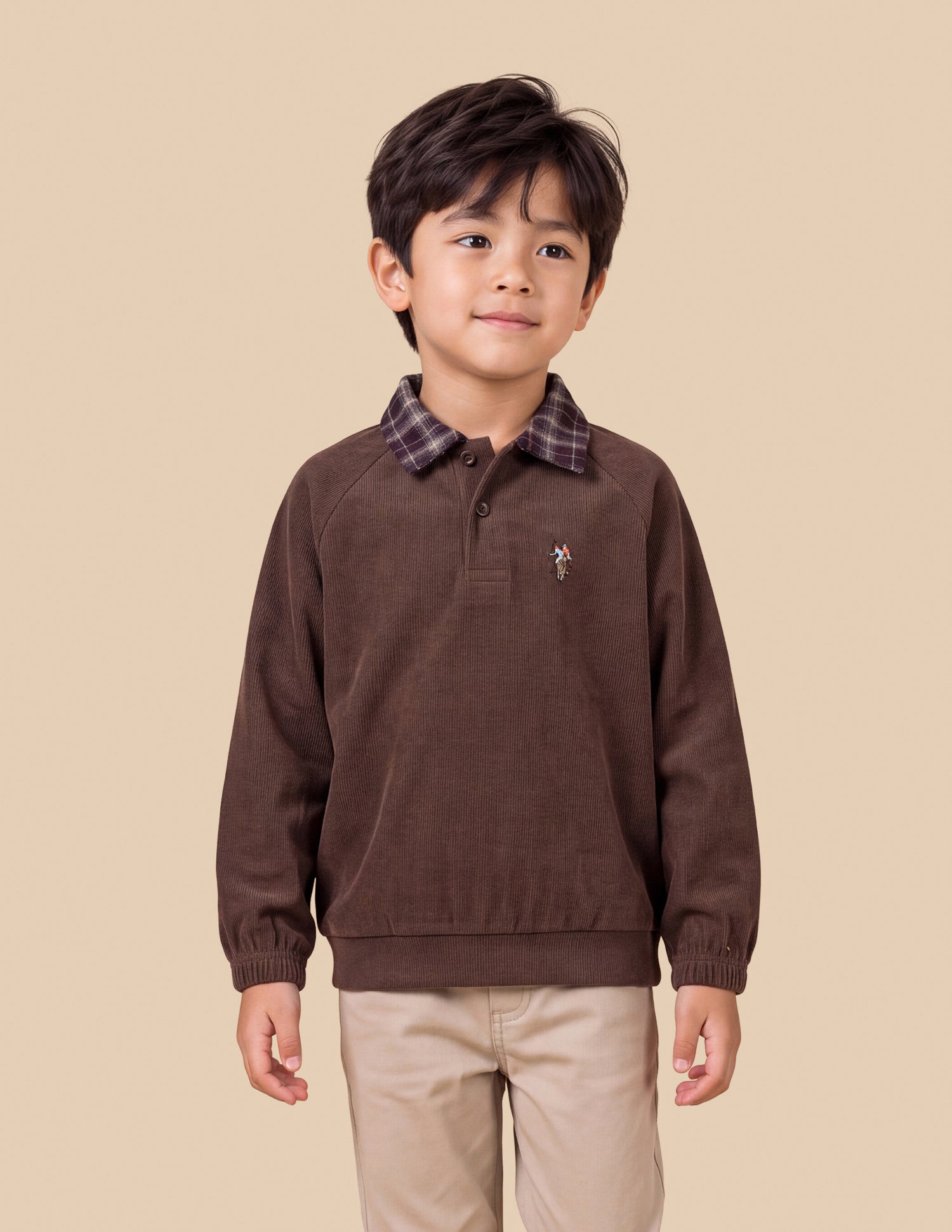 Solid Regular Fit Sweatshirt Brown - U.S. Polo Assn. India | Large
