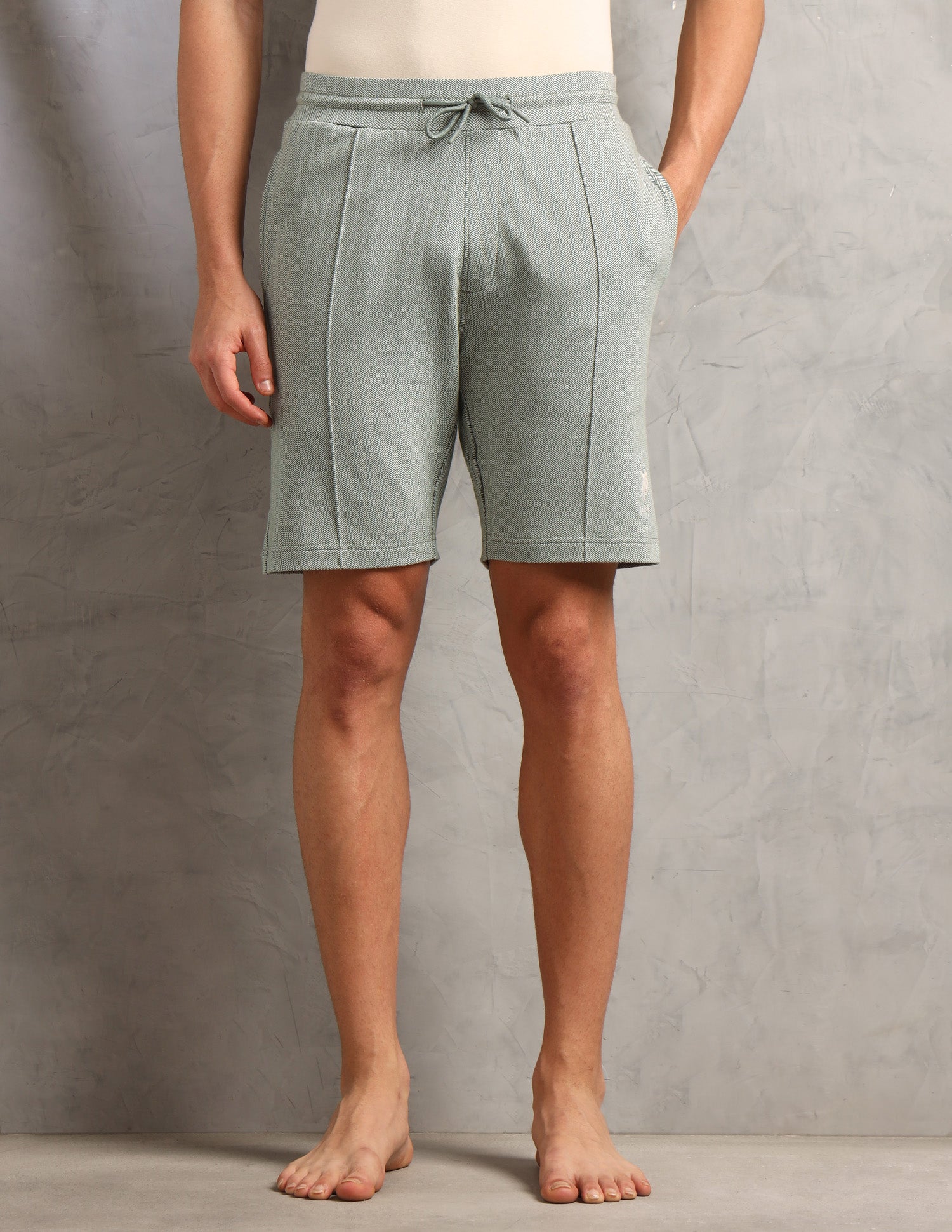 Chevron Slim Fit PS004-PL Lounge Shorts - Pack of 1 Deep Lichen Green - U.S. Polo Assn. India | Large