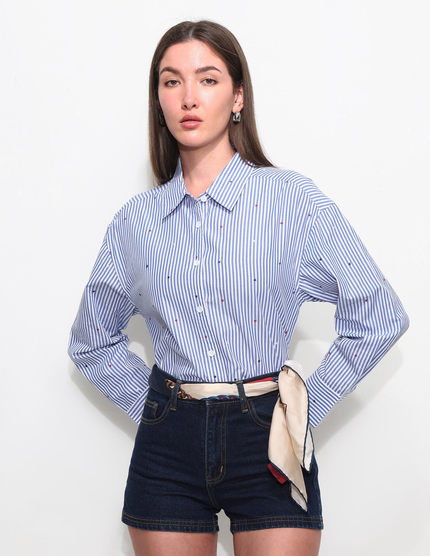 Vertical Striped Shirt With Embroidery Blue - U.S. Polo Assn. India | Large