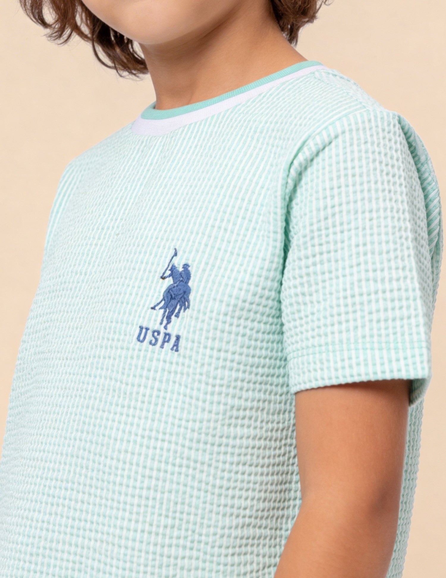 Textured Regular Fit T-Shirt Light Green - U.S. Polo Assn. India | Large