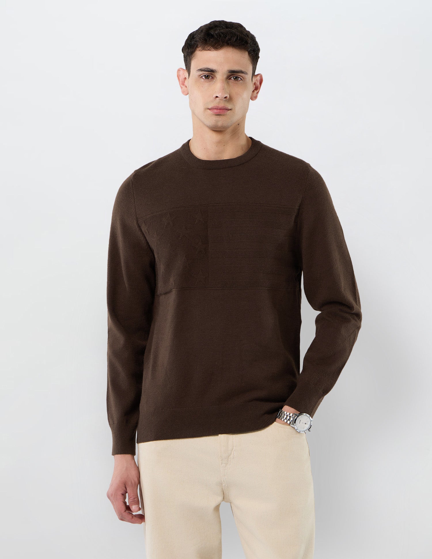 Patterned Knit Regular Fit Sweater Brown - U.S. POLO ASSN. | Large