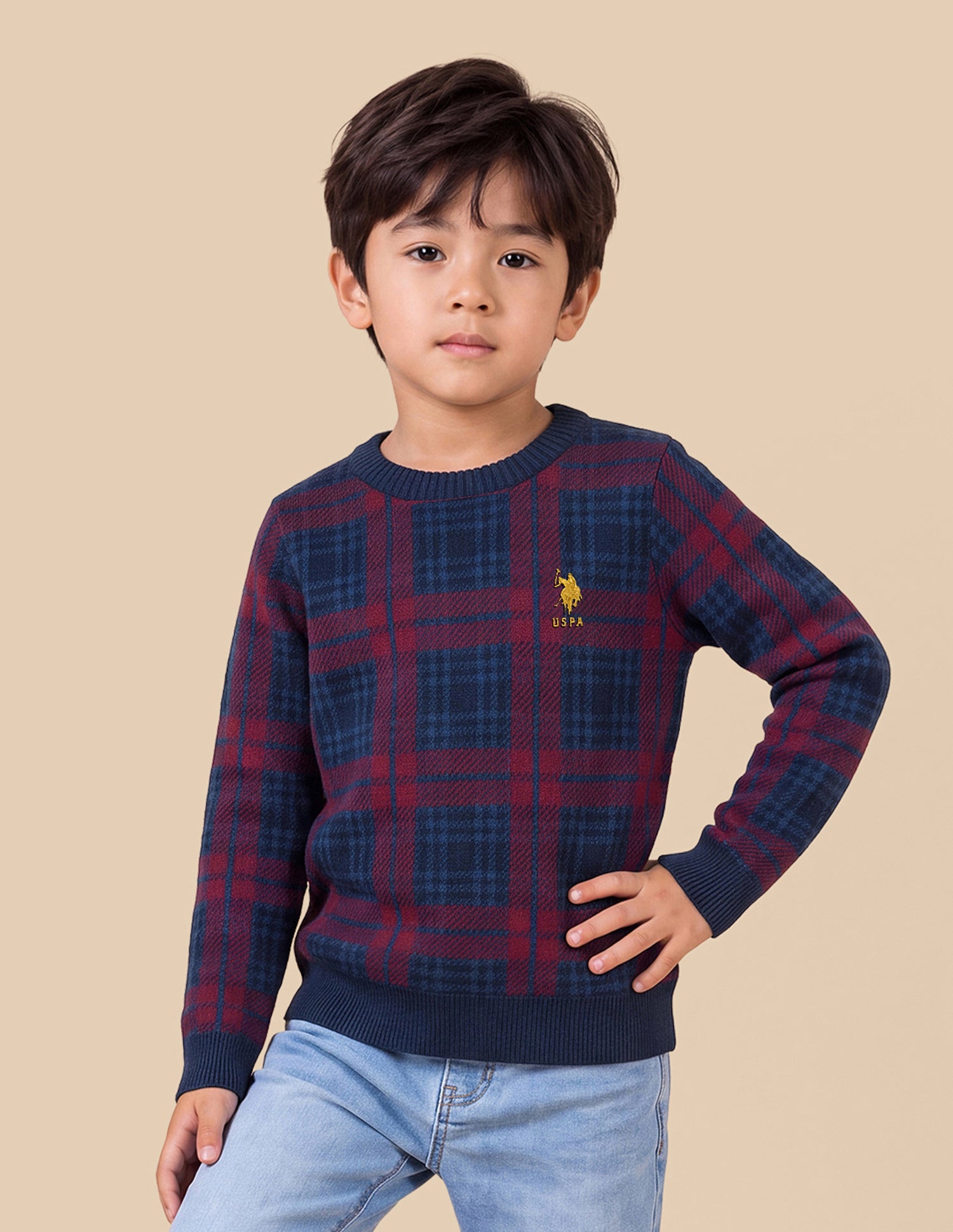 Checked Regular Fit Sweater Maroon - U.S. Polo Assn. India | Large