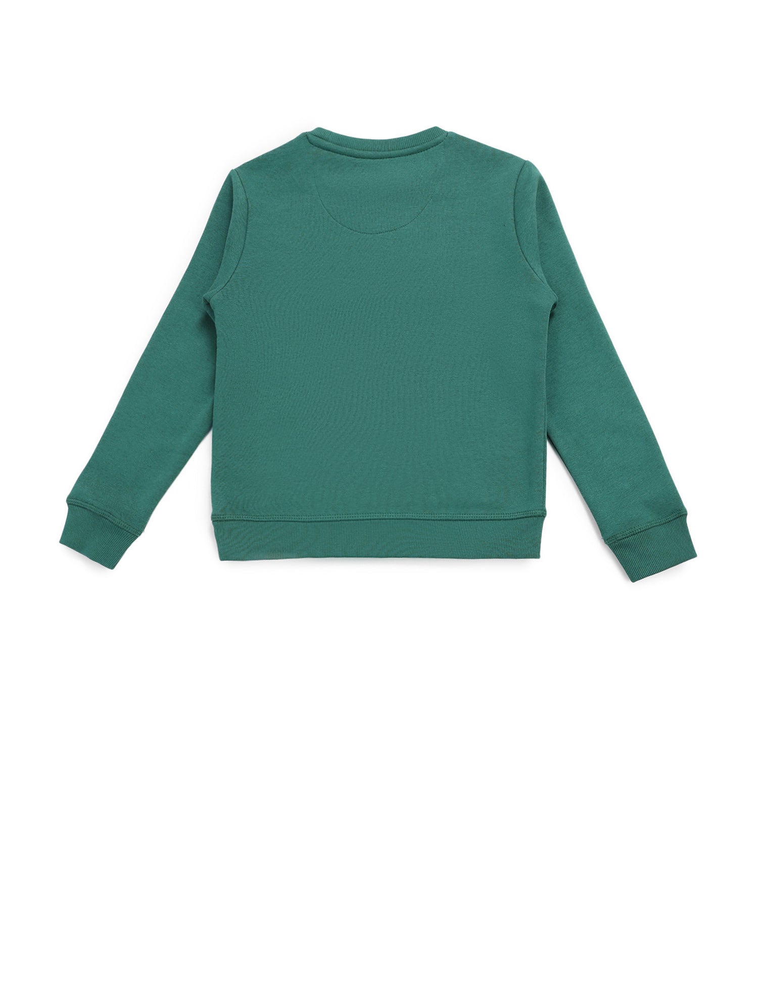 Boys Brand Printed Regular Fit Sweatshirt Green - U.S. POLO ASSN. | Large