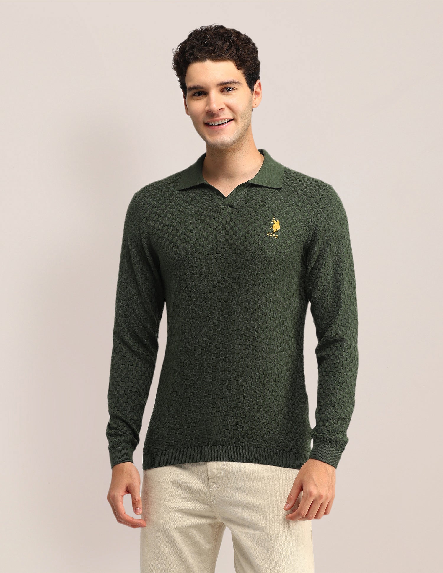 Textured Regular Fit Sweater Olive - U.S. Polo Assn. India | Large