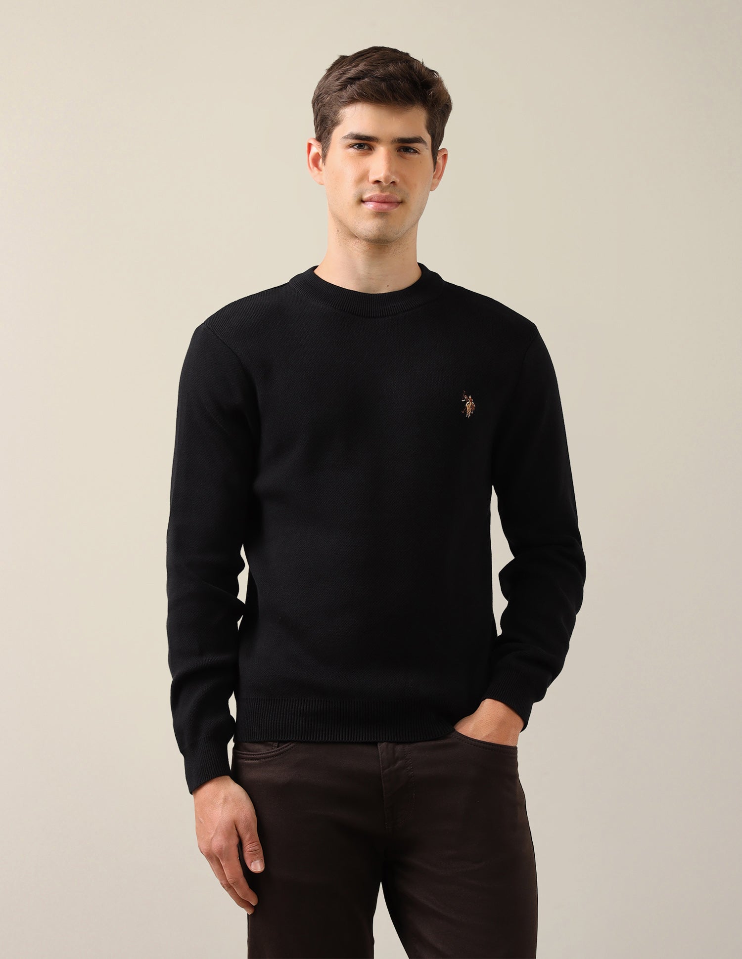 Solid Regular Fit Sweater Black - U.S. Polo Assn. India | Large