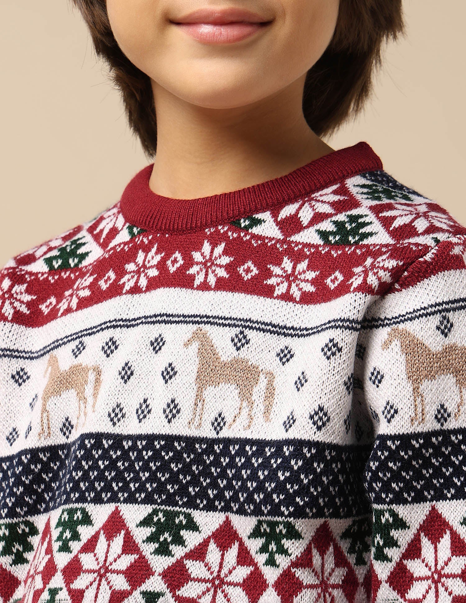 Boys All Over Printed Regular Fit Sweater Dark Red - U.S. Polo Assn. India | Large