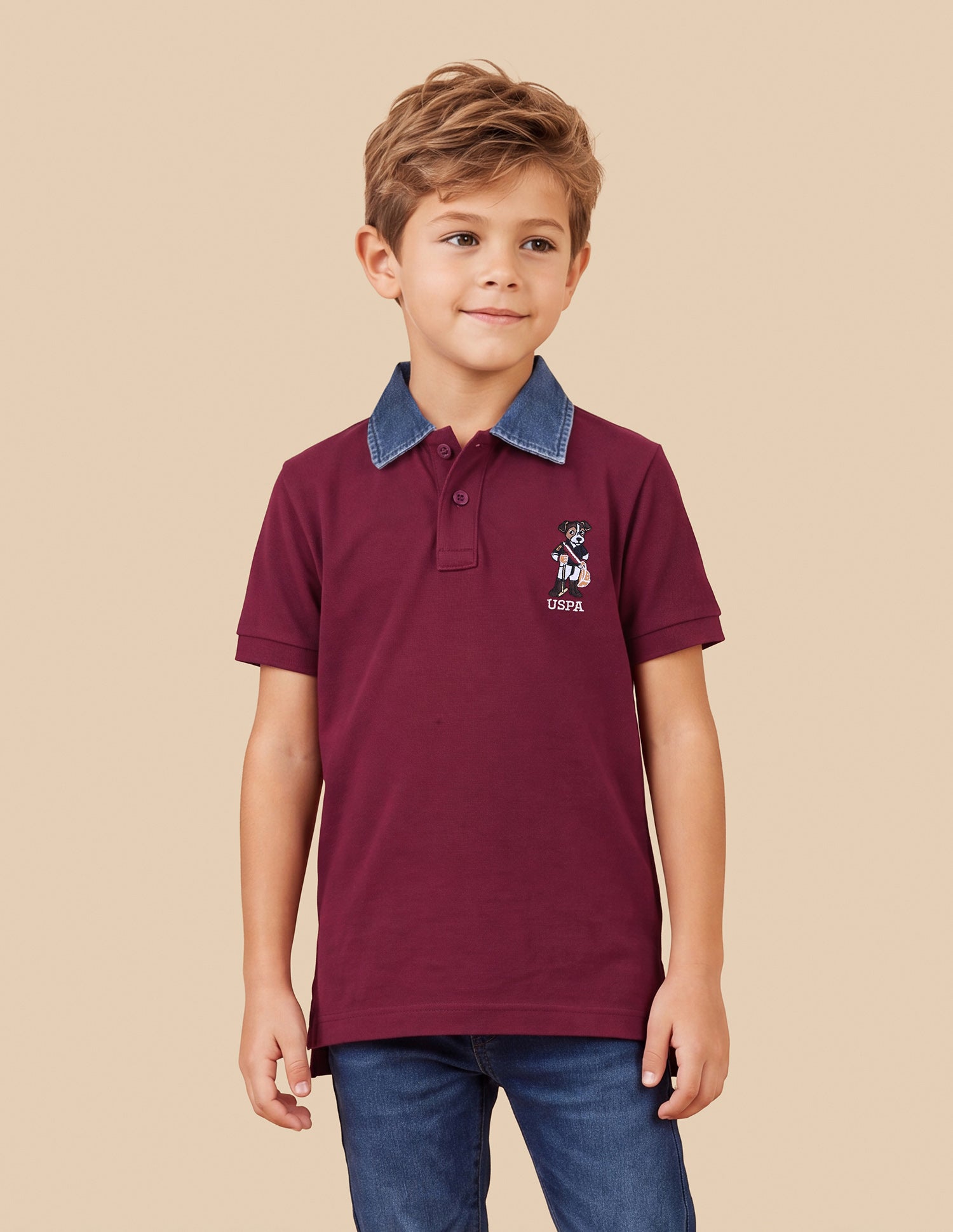 Solid Regular Fit Polo Shirt Maroon - U.S. Polo Assn. India | Large