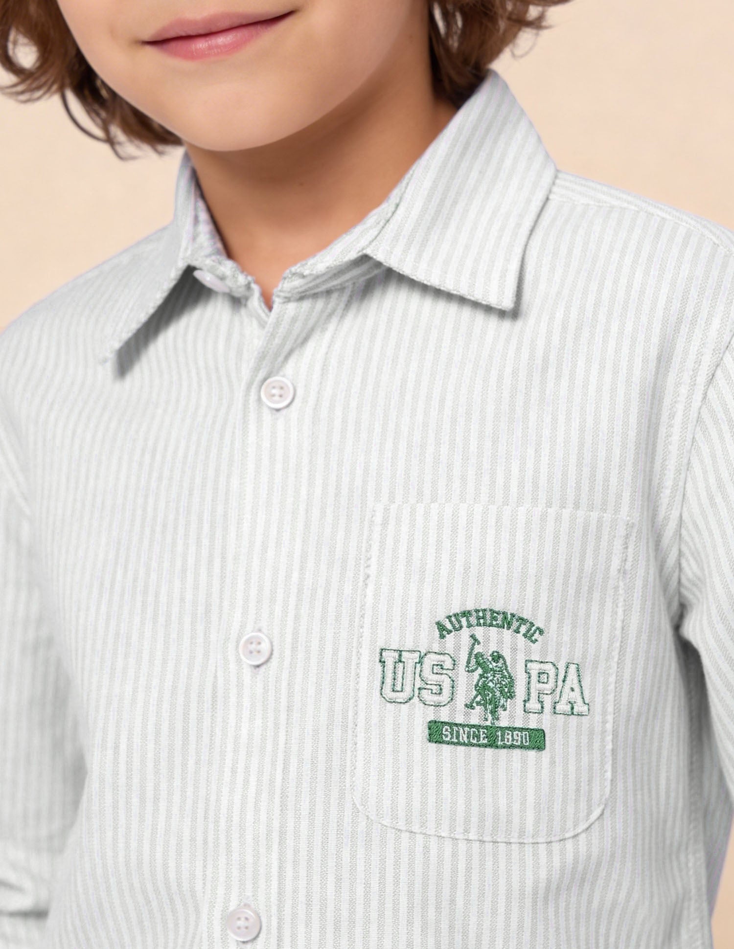 Vertical Striped Oxford Shirt Green - U.S. Polo Assn. India | Large
