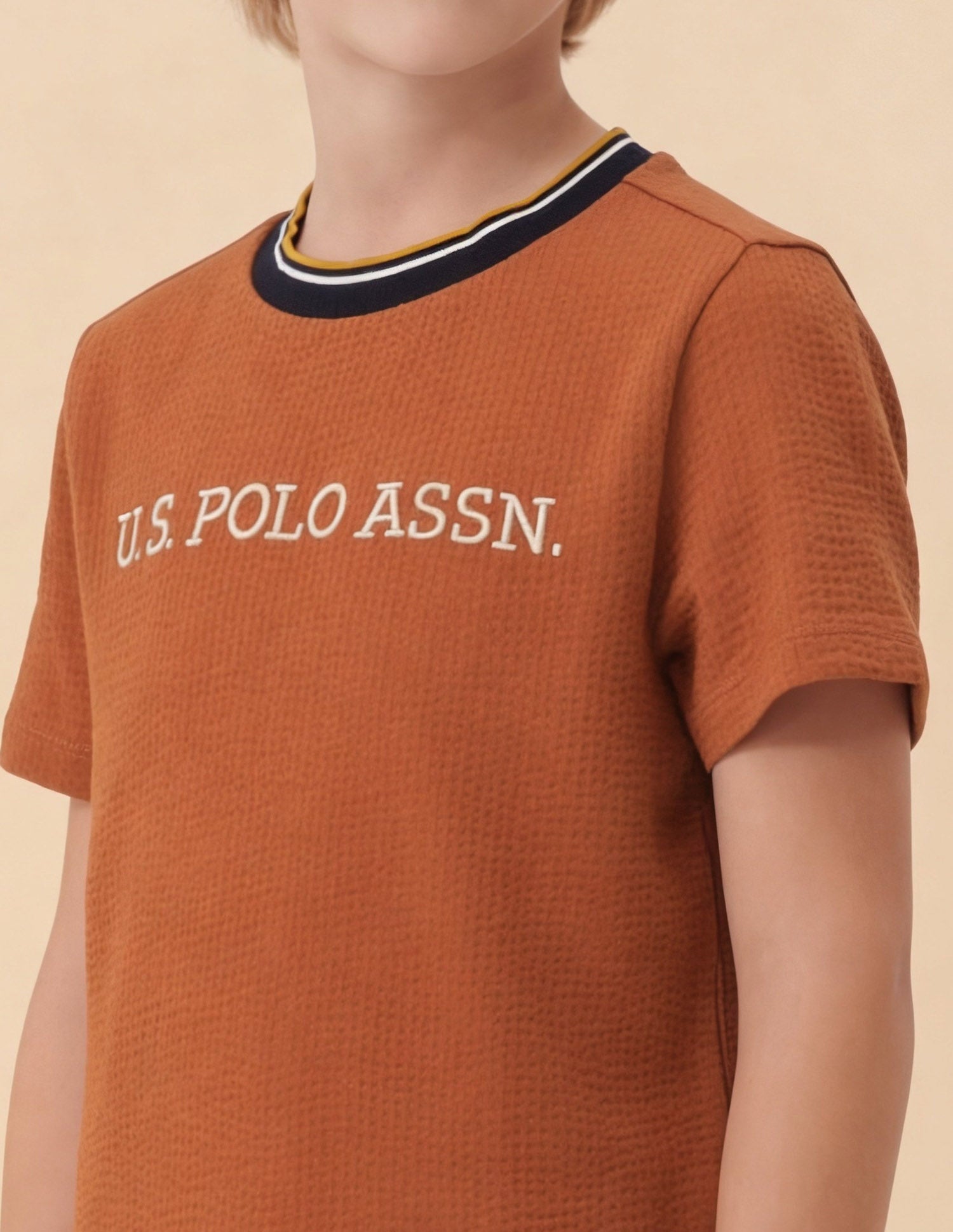 Self Design Brand Embroidered Regular Fit T-Shirt Rust - U.S. Polo Assn. India | Large