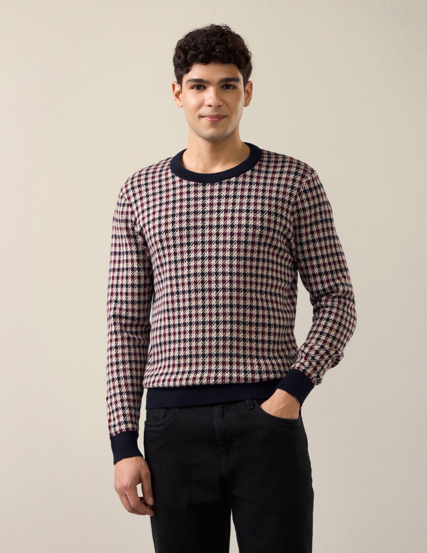 Houndstooth Patterned Knit Slim Fit Sweater Navy - U.S. Polo Assn. India | Large