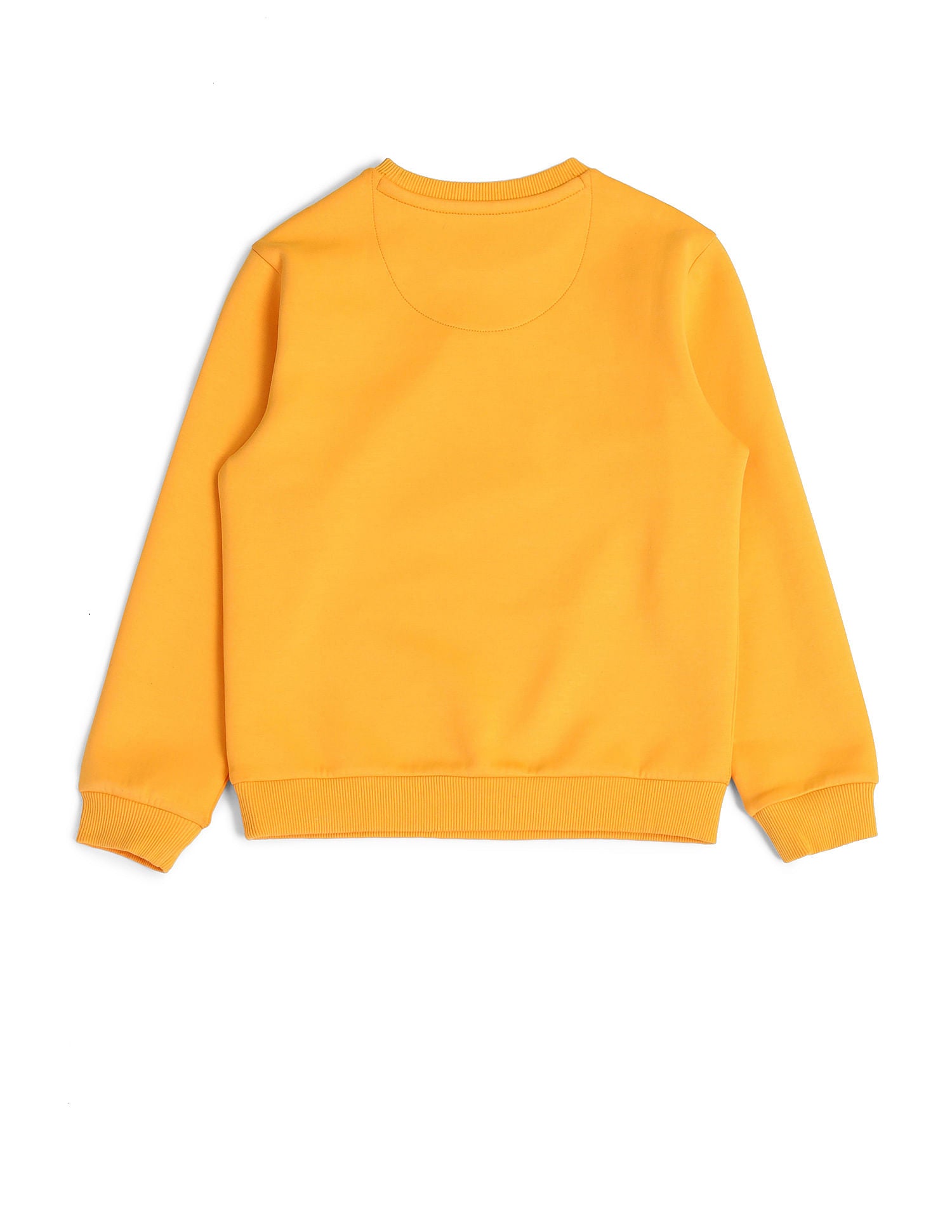 Boys Brand Embroidered Sweatshirt Tawny Port - U.S. POLO ASSN. | Large