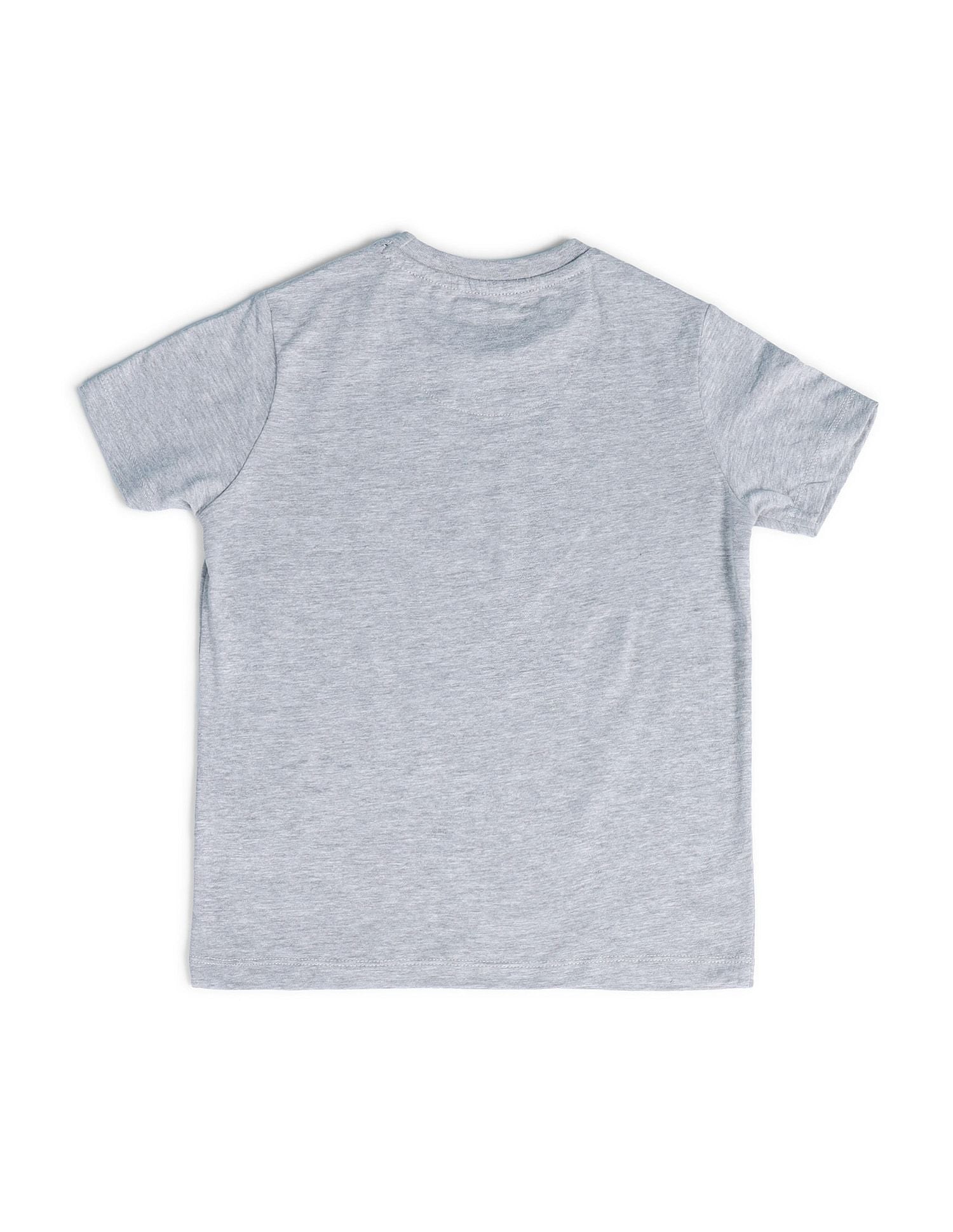 Boys Brand Printed T-Shirt Light Grey - U.S. POLO ASSN. | Large