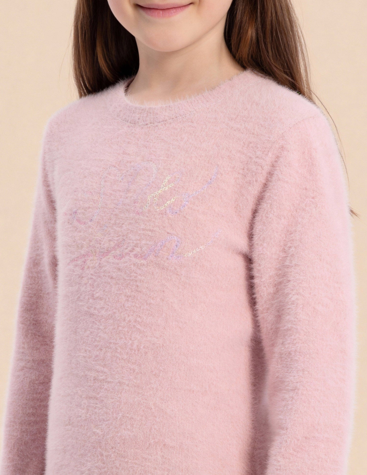 Girls Brand Printed Regular Fit Sweater Light Pink - U.S. Polo Assn. India | Large