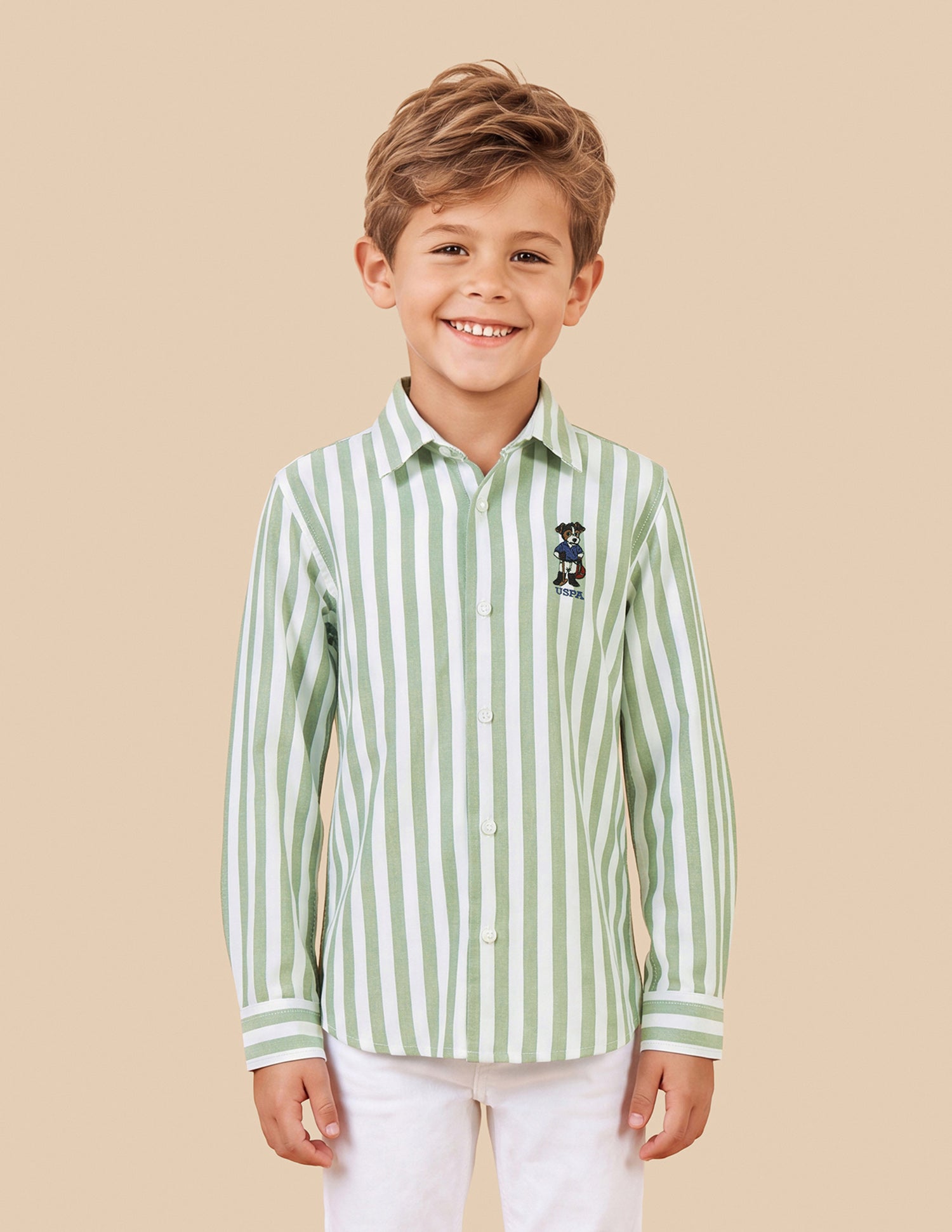 Vertical Striped Oxford Shirt Green - U.S. Polo Assn. India | Large