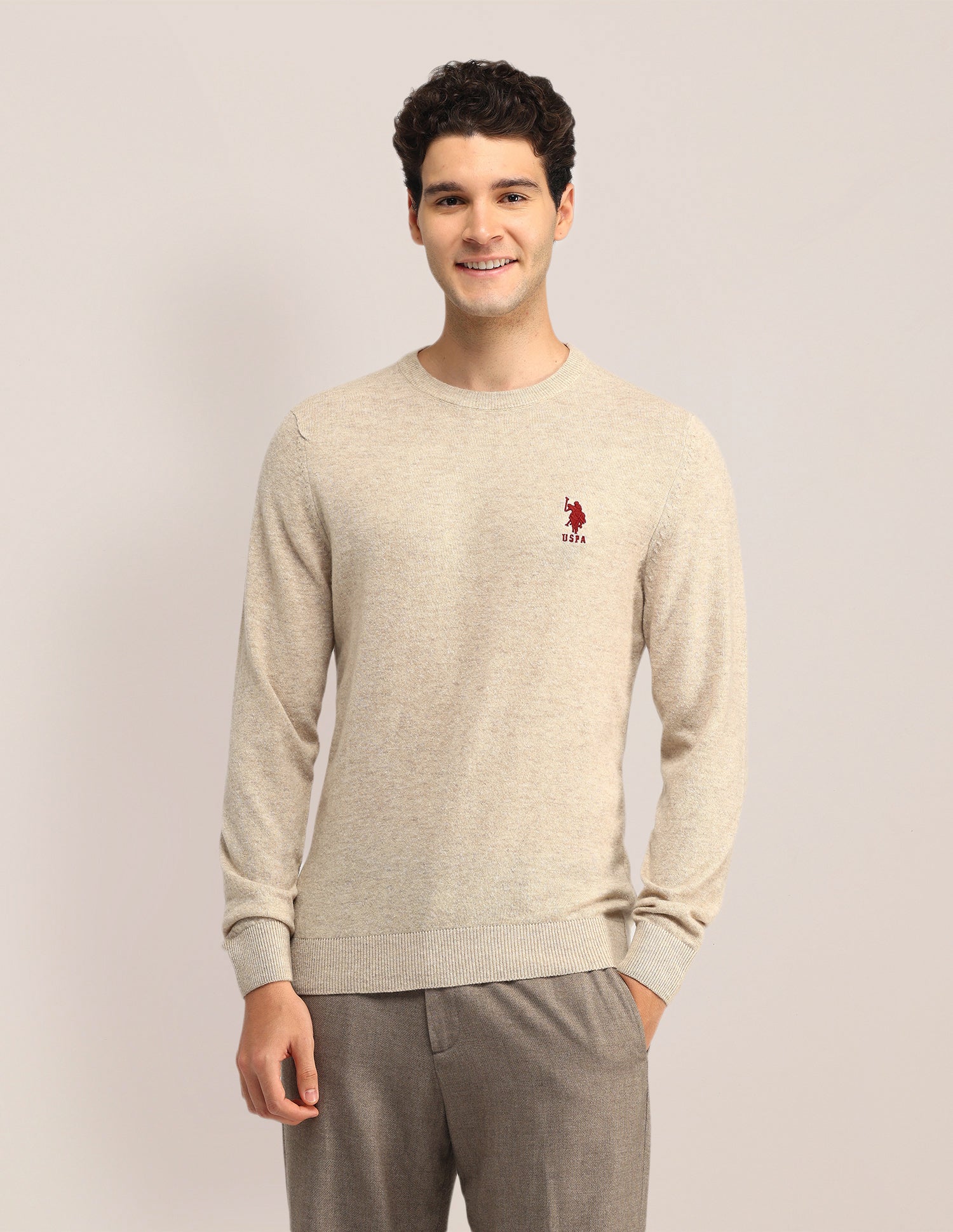 Textured Regular Fit Sweater Beige - U.S. Polo Assn. India | Large