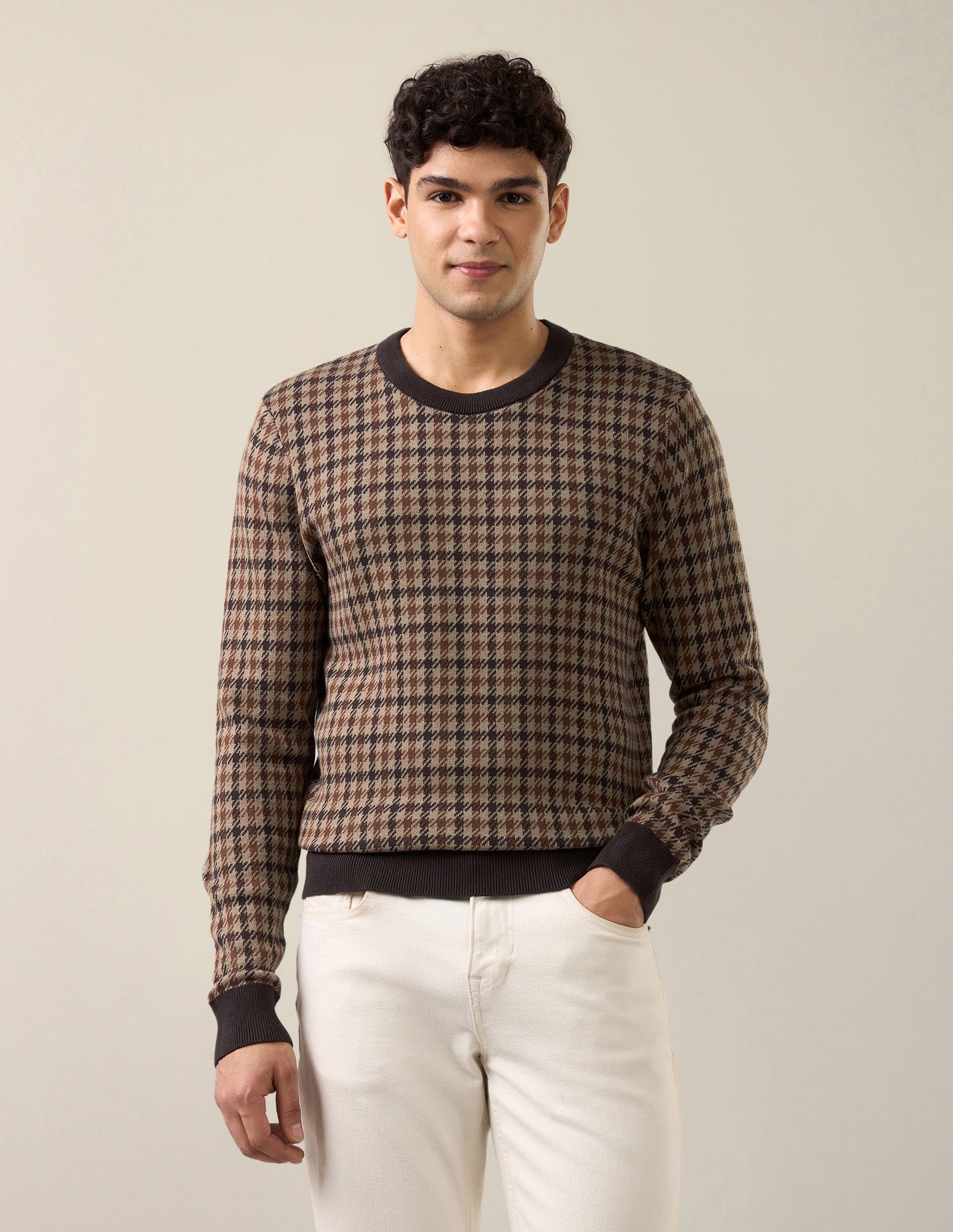 Houndstooth Patterned Knit Slim Fit Sweater Light Brown - U.S. Polo Assn. India | Large