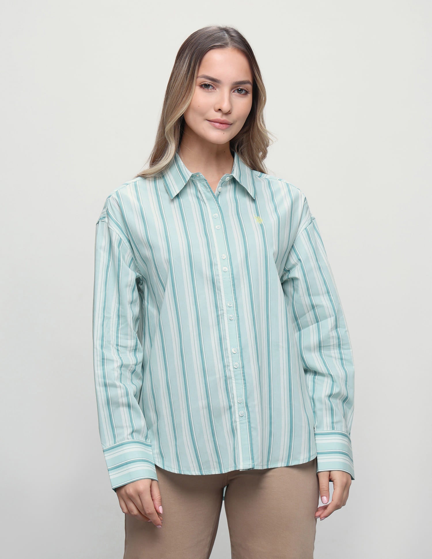Vertical Striped Boyfriend Fit Shirt Green - U.S. Polo Assn. India | Large