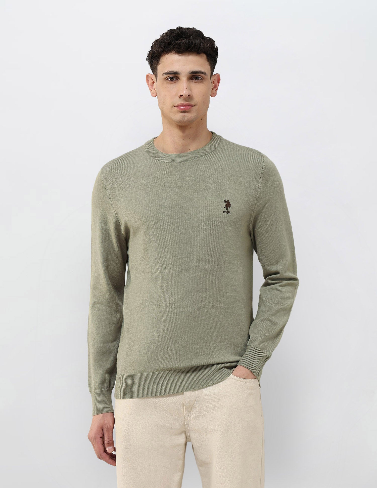 Solid Regular Fit Sweater Green - U.S. POLO ASSN. | Large