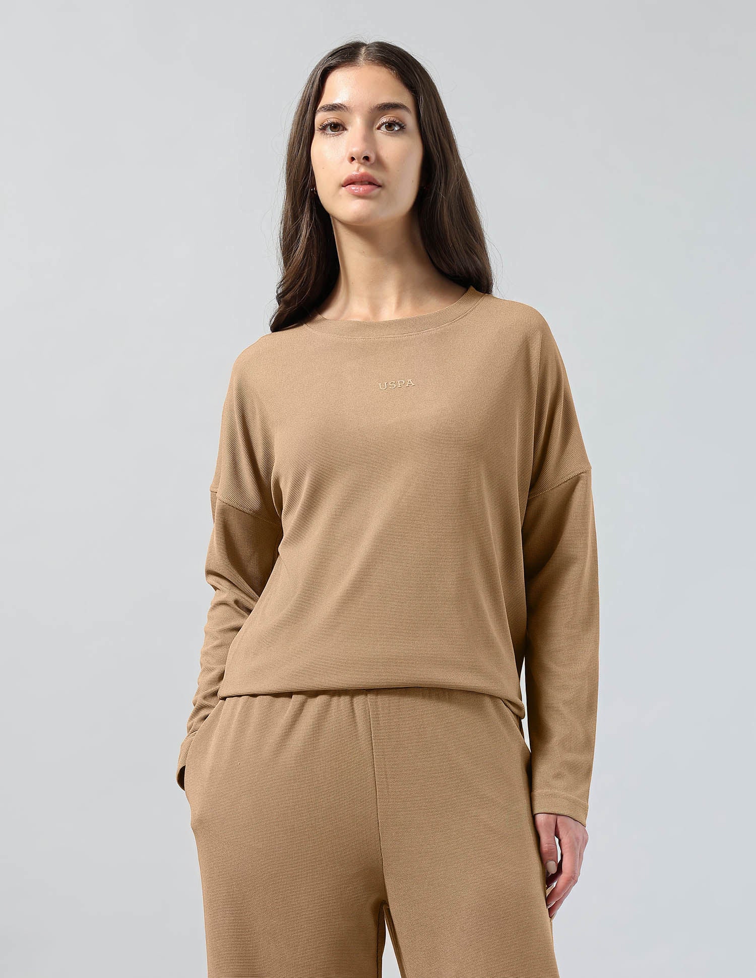 Textured Relaxed Fit T-Shirt Brown - U.S. POLO ASSN. | Large