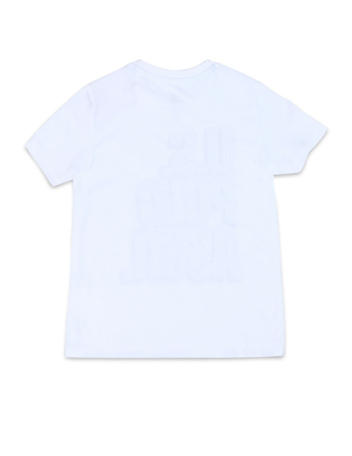 Boys Brand Printed Regular Fit T-Shirt White - U.S. POLO ASSN. | Large