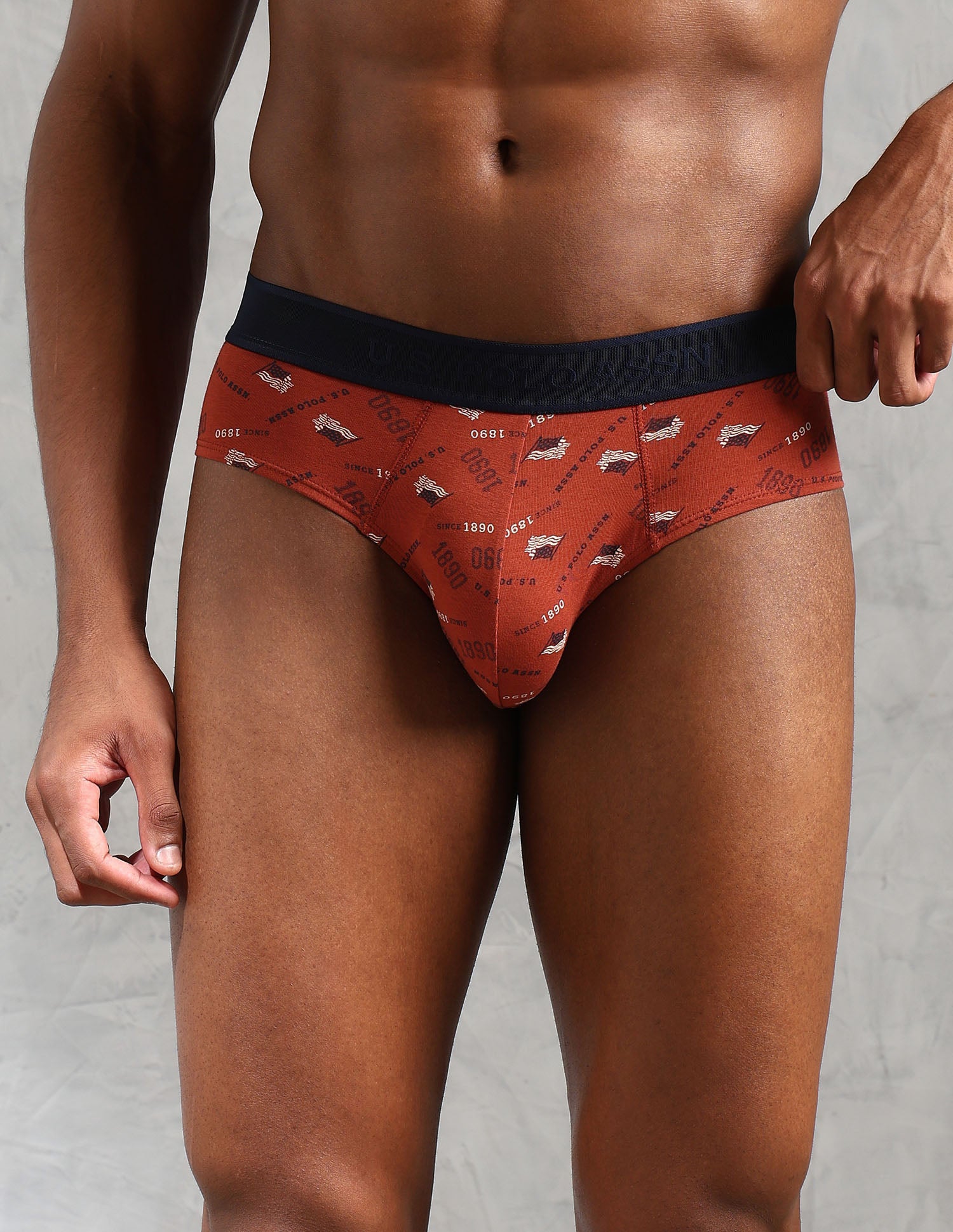 Low Rise Printed OEB16 Briefs - Pack Of 3 Grisaille, Picante and Uspa Black - U.S. POLO ASSN. | Large