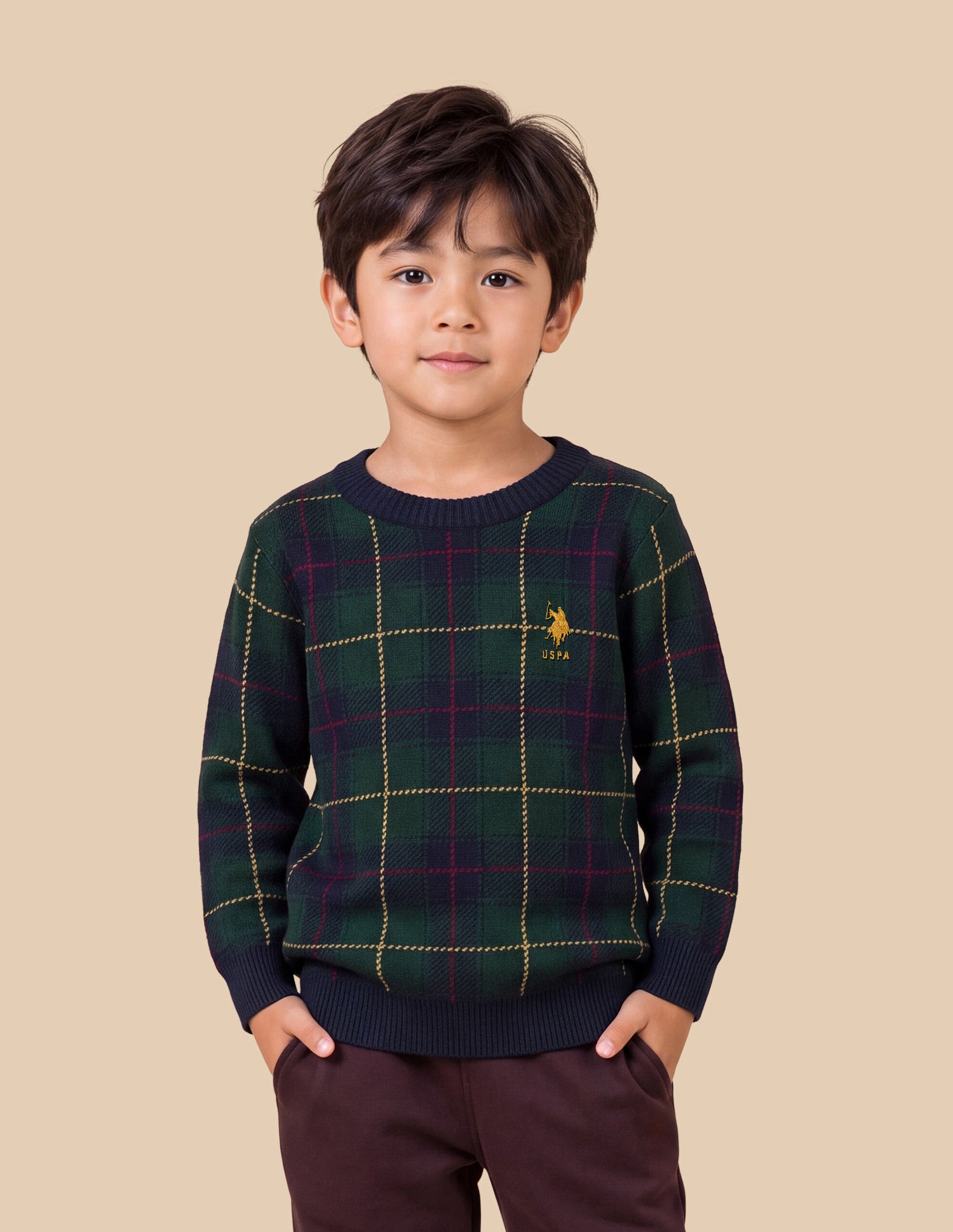 Checked Regular Fit Sweater Green - U.S. Polo Assn. India | Large